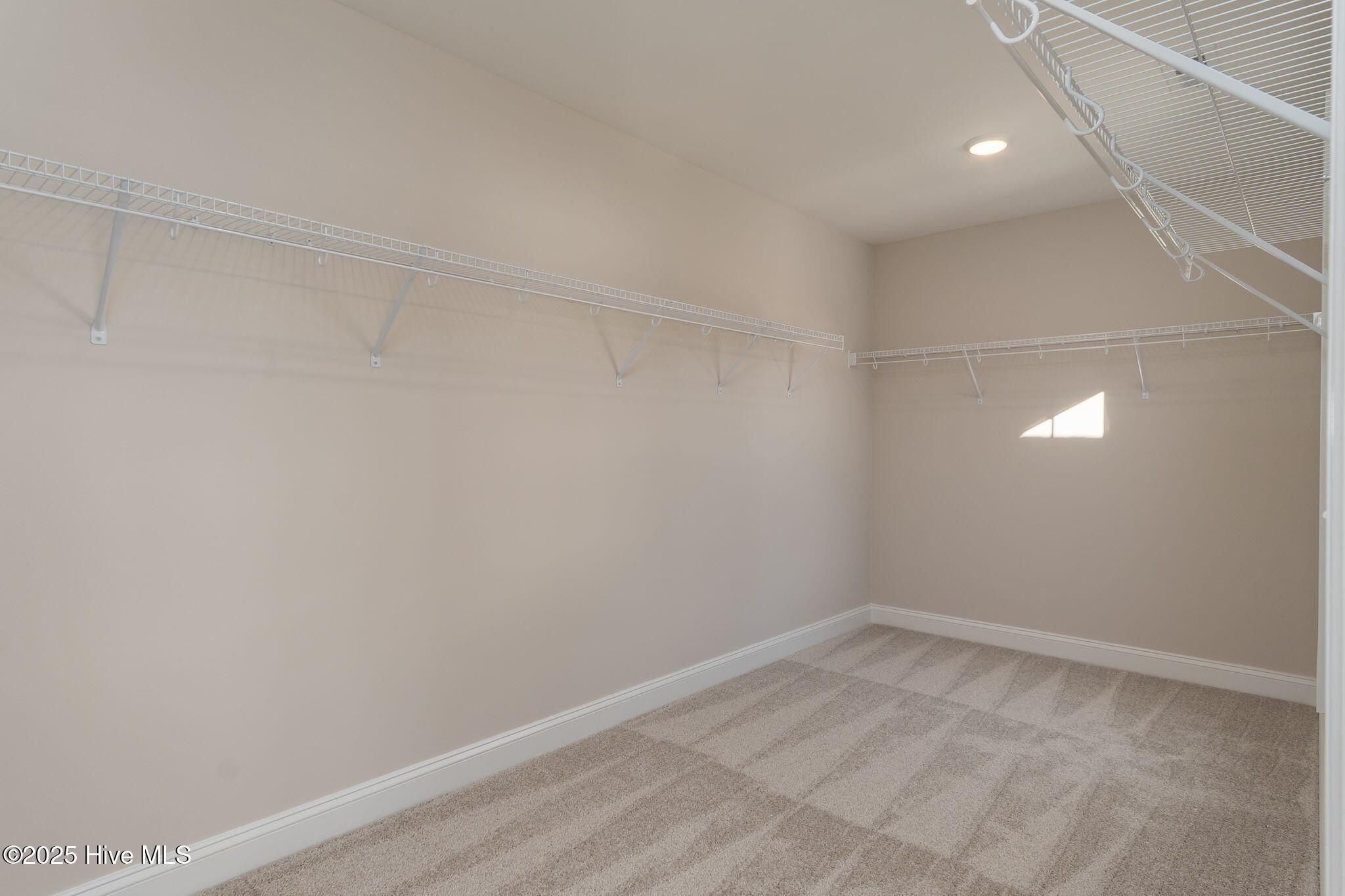 100531003 | Photo 33