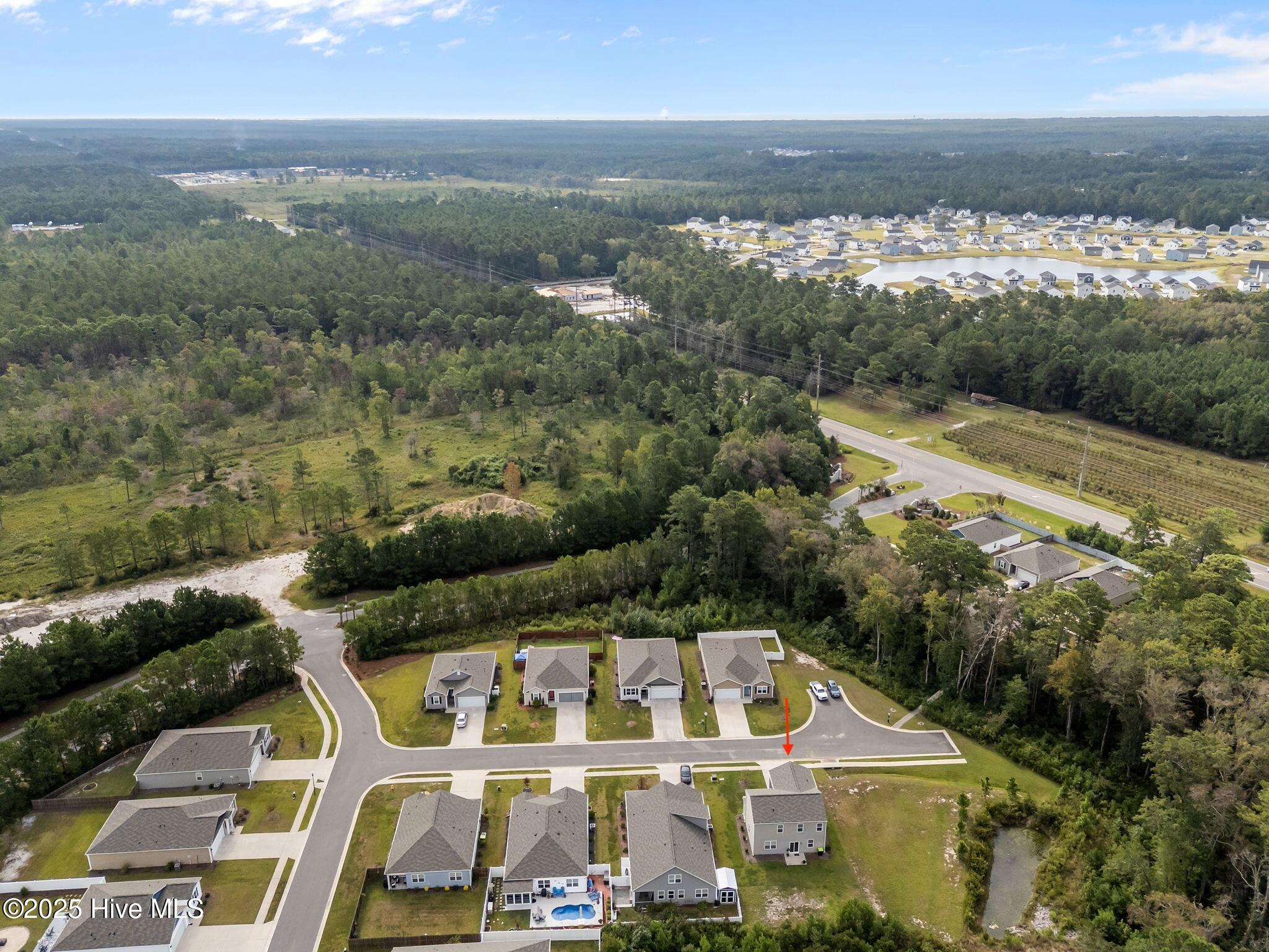 100526308 | Photo 37