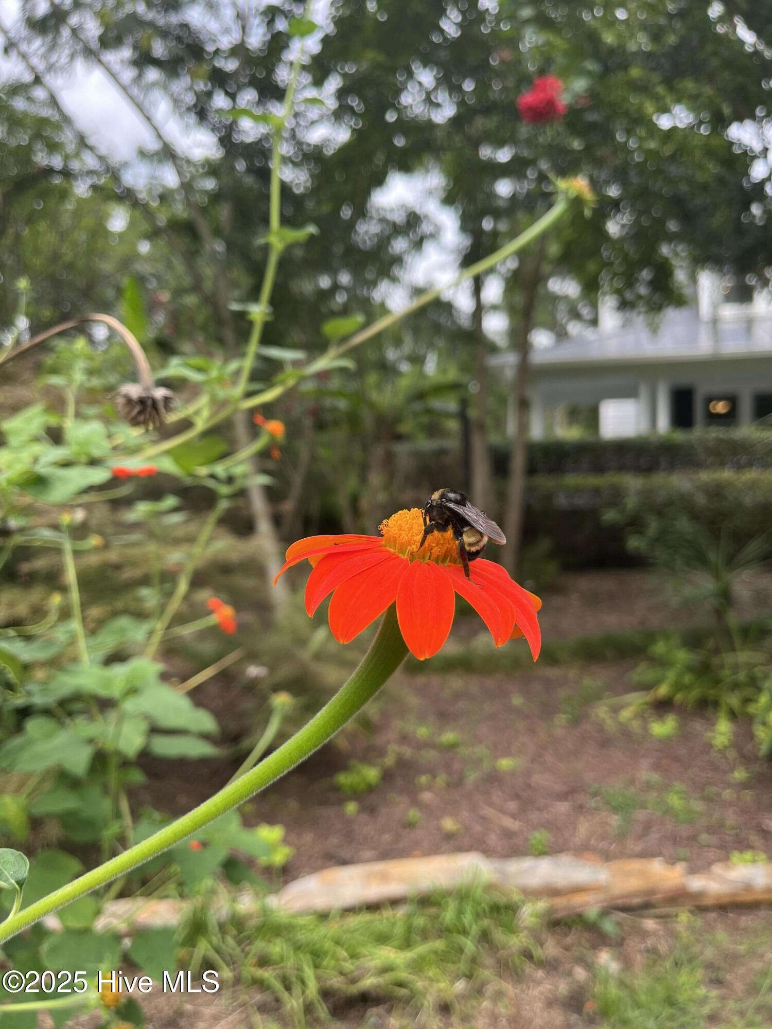 100521049 | Photo 62