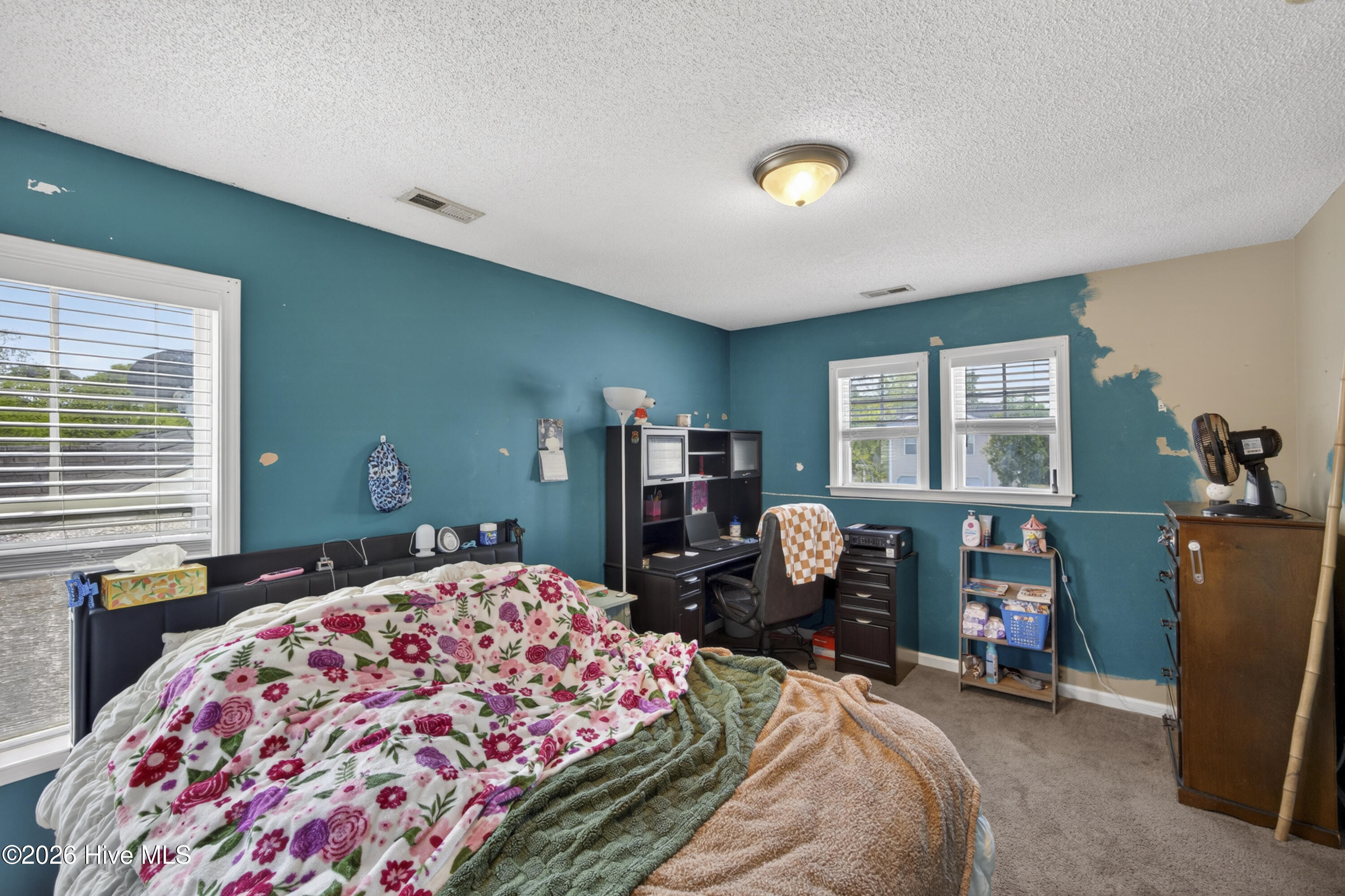 100567441 | Photo 17