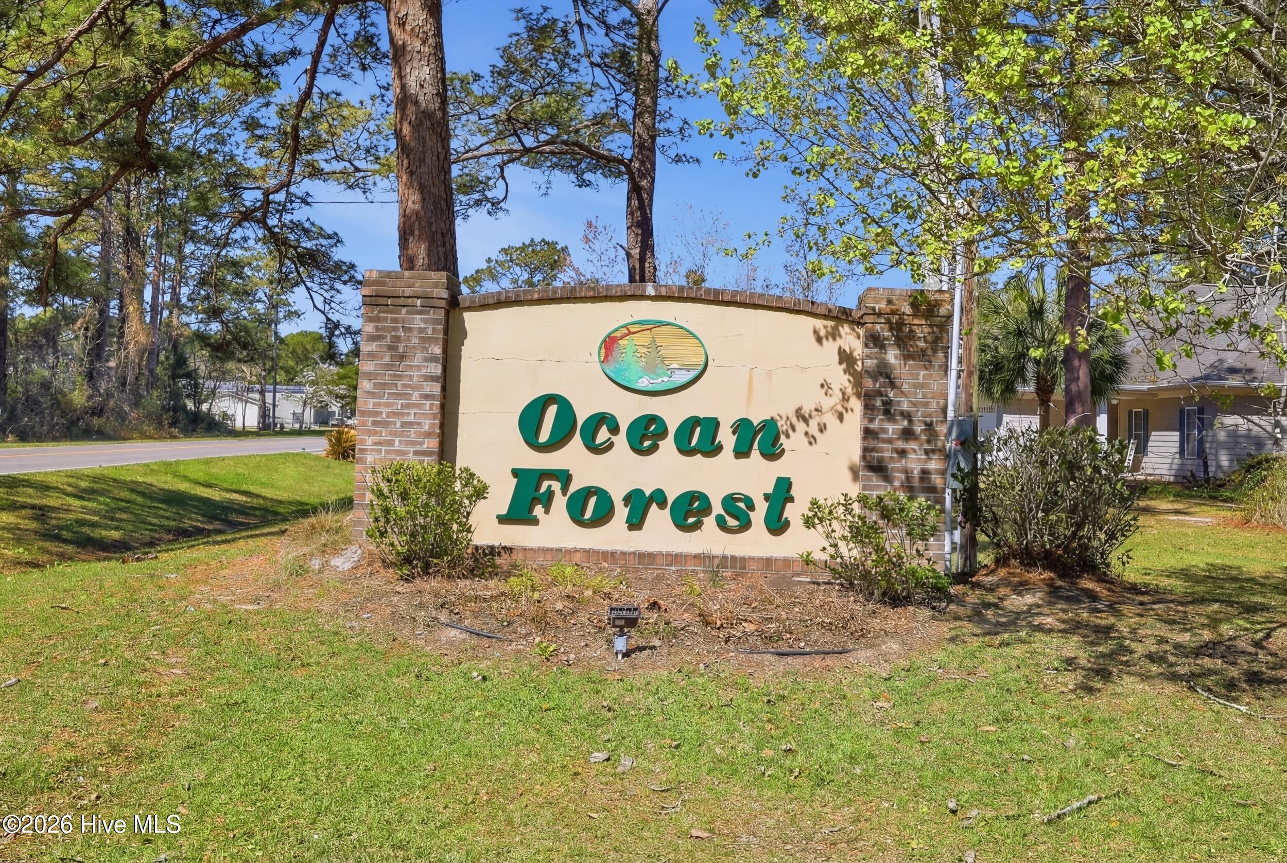 100561141 | Photo 48