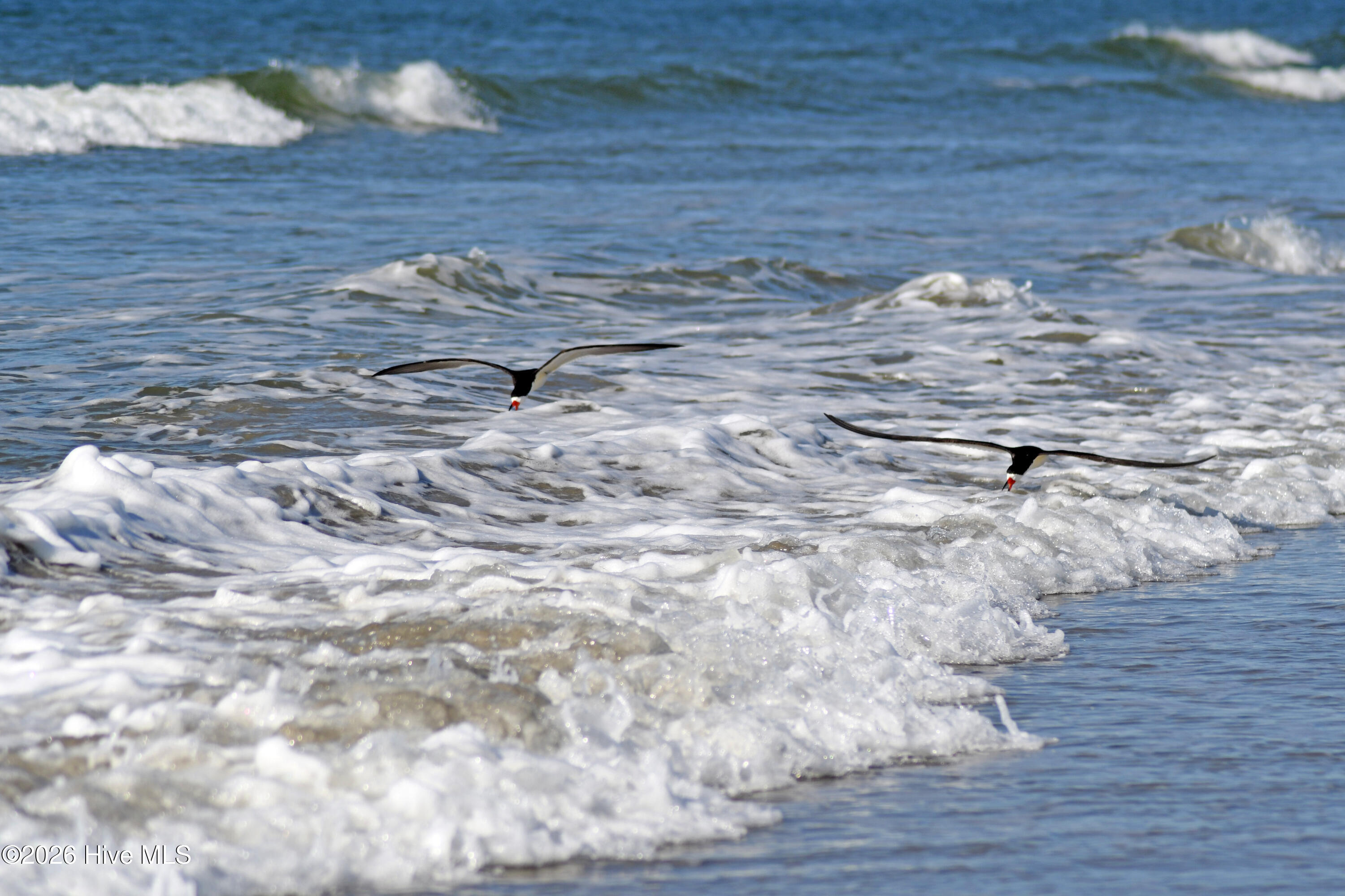 100550415 | Photo 22