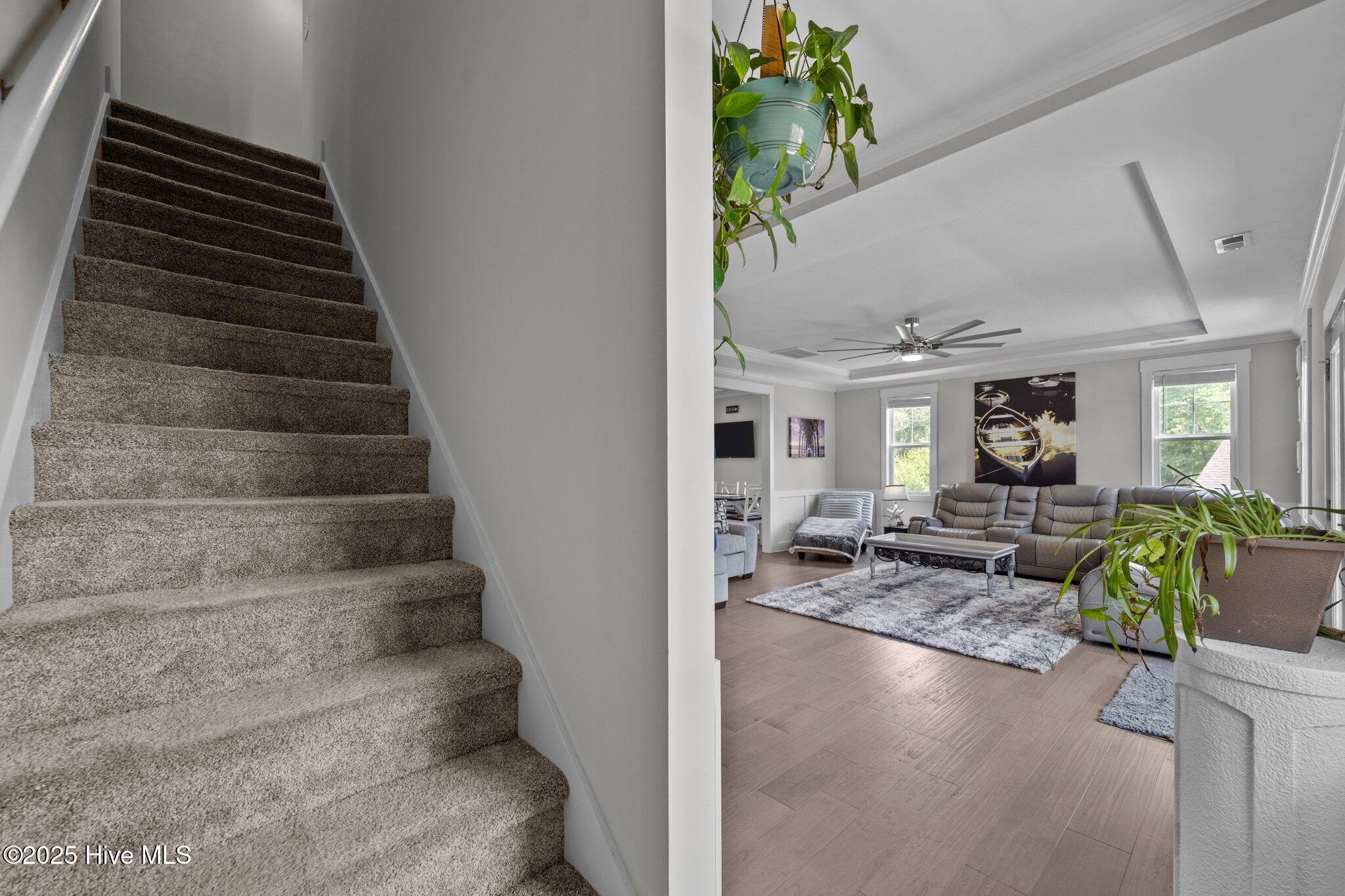 100517734 | Photo 24