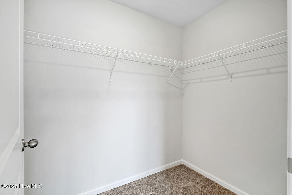 100548507 | Photo 21