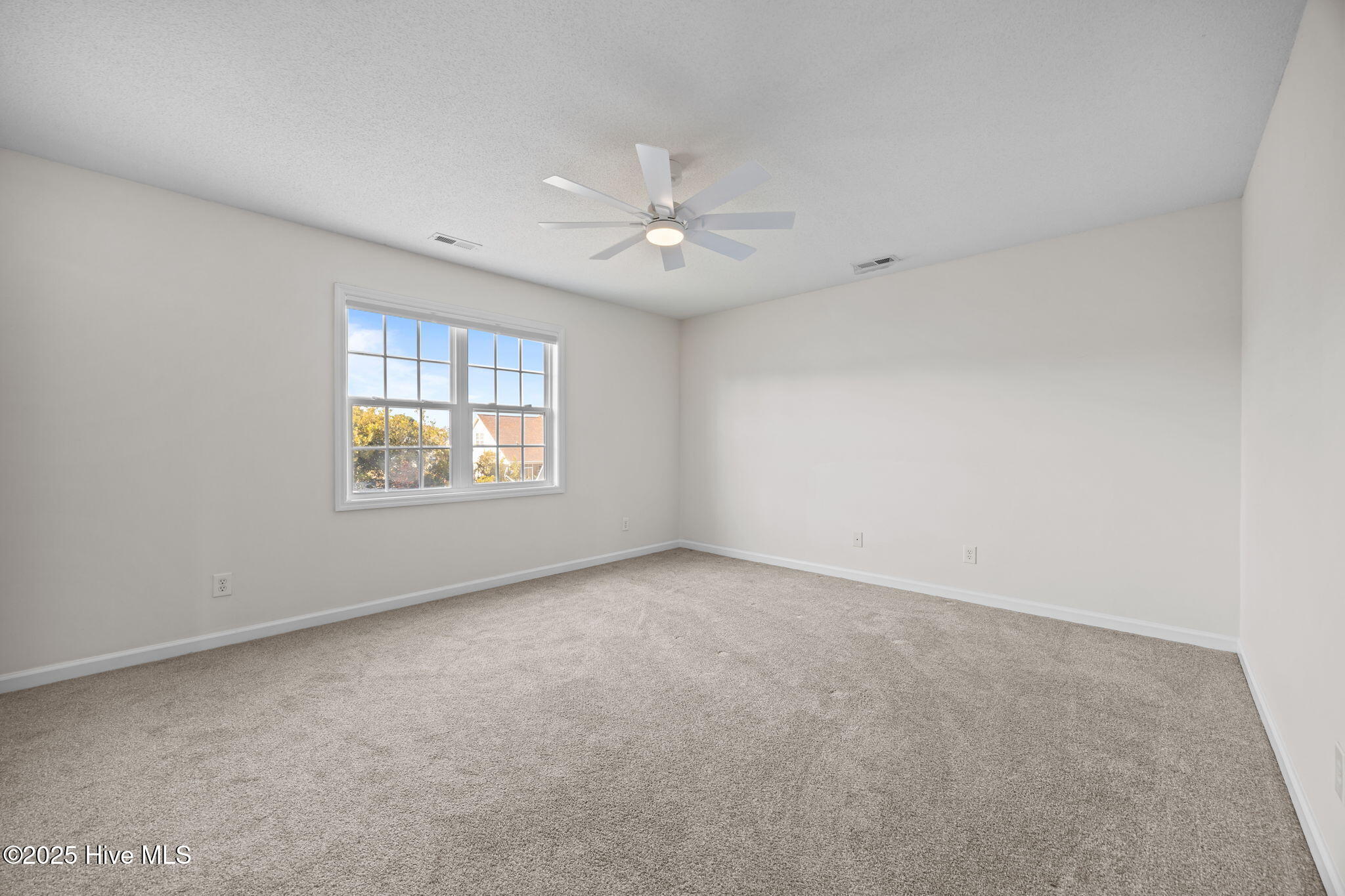 100541602 | Photo 30