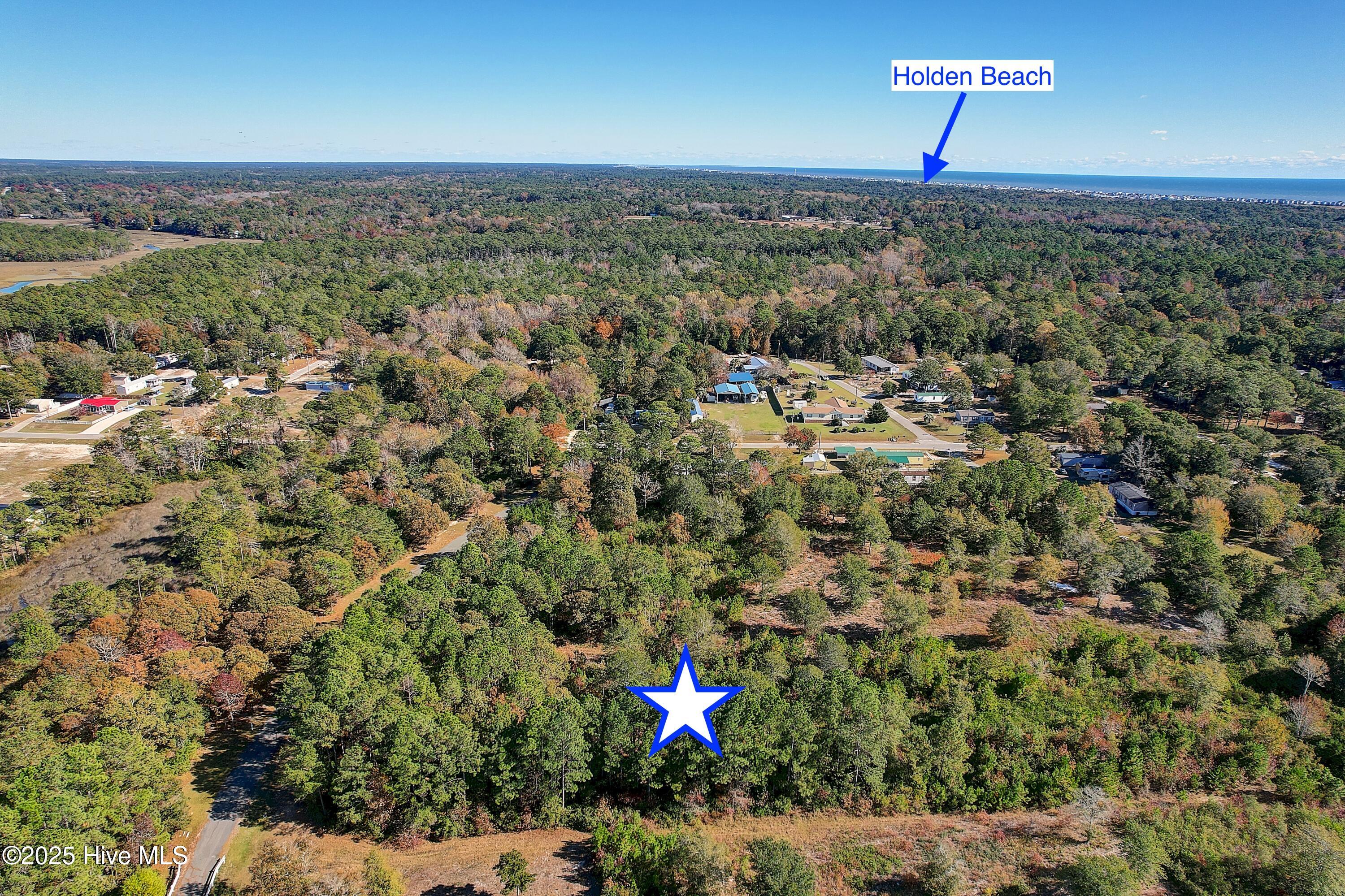 100541253 | Photo 11