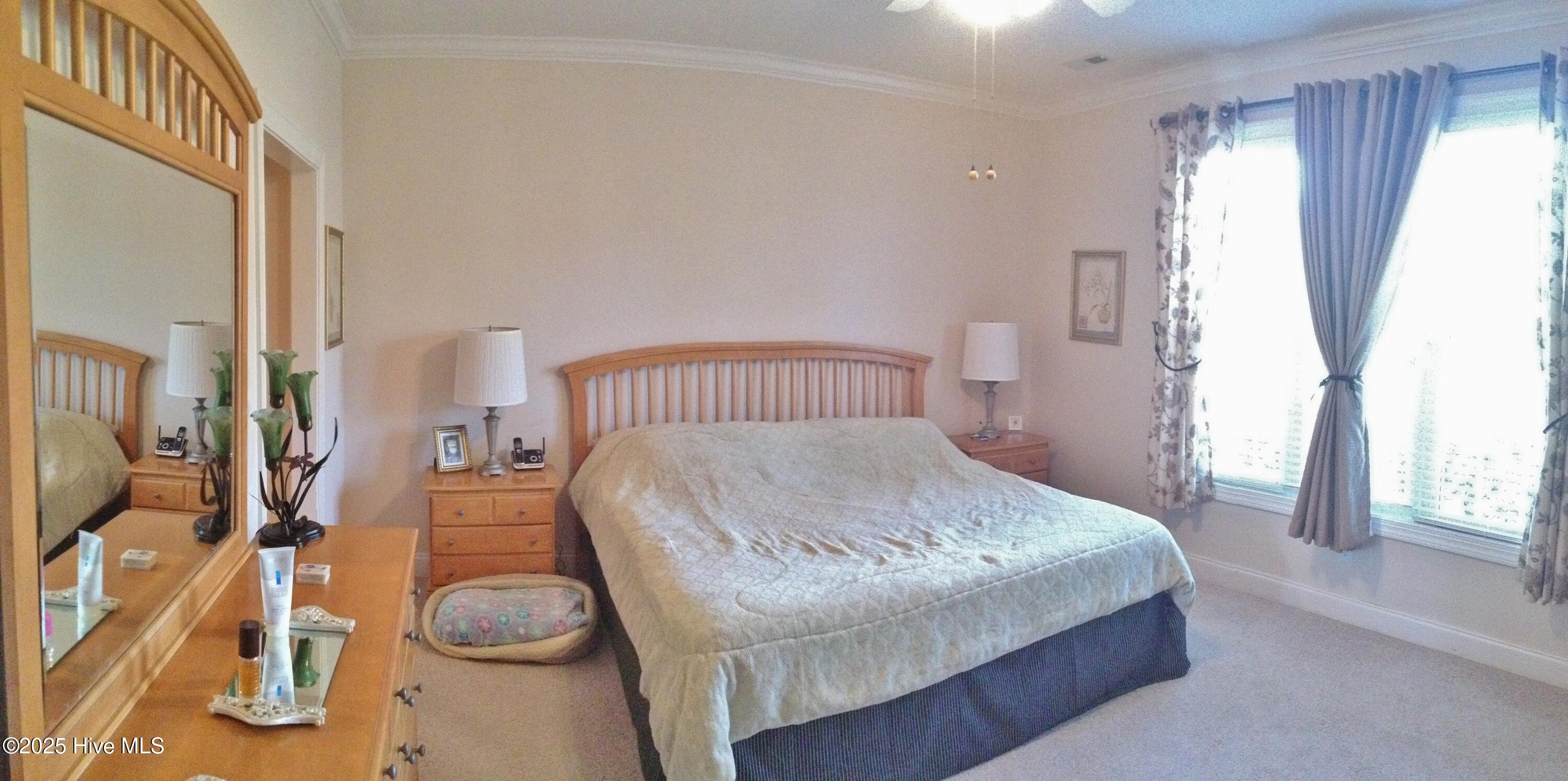 100546943 | Photo 10