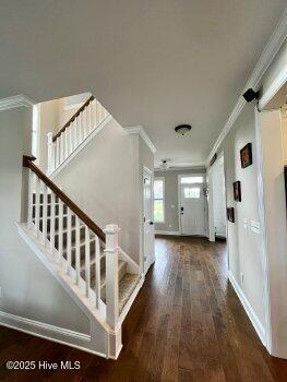 100539488 | Photo 24