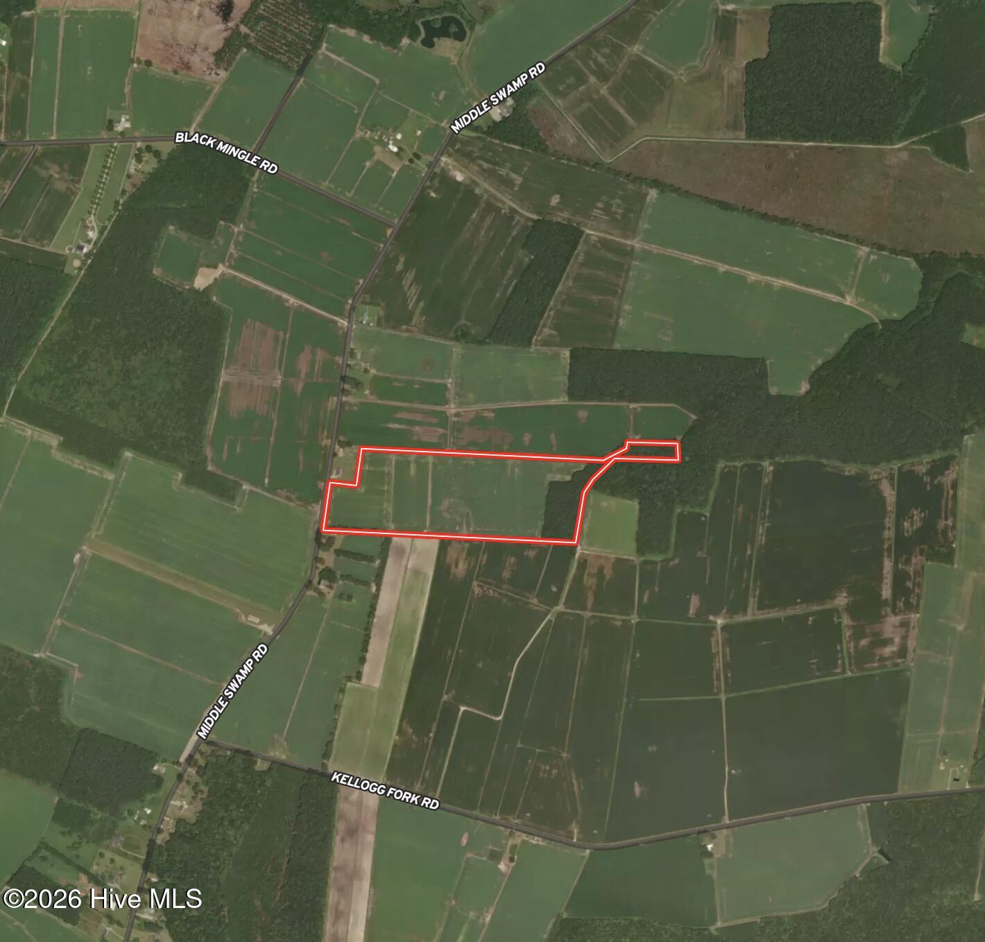 0 Middle Swamp Road, Gates, NC, 27937