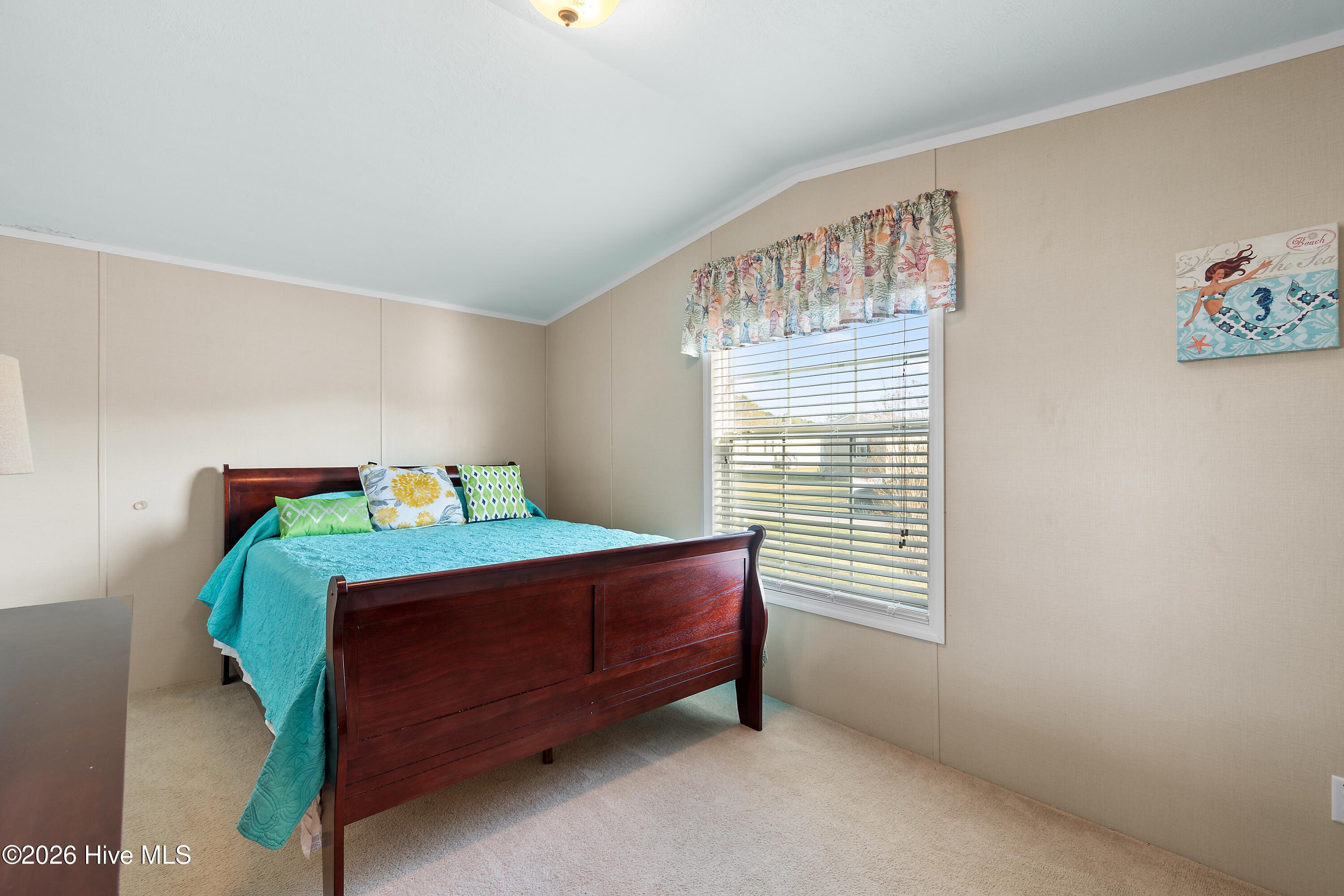 100564695 | Photo 21