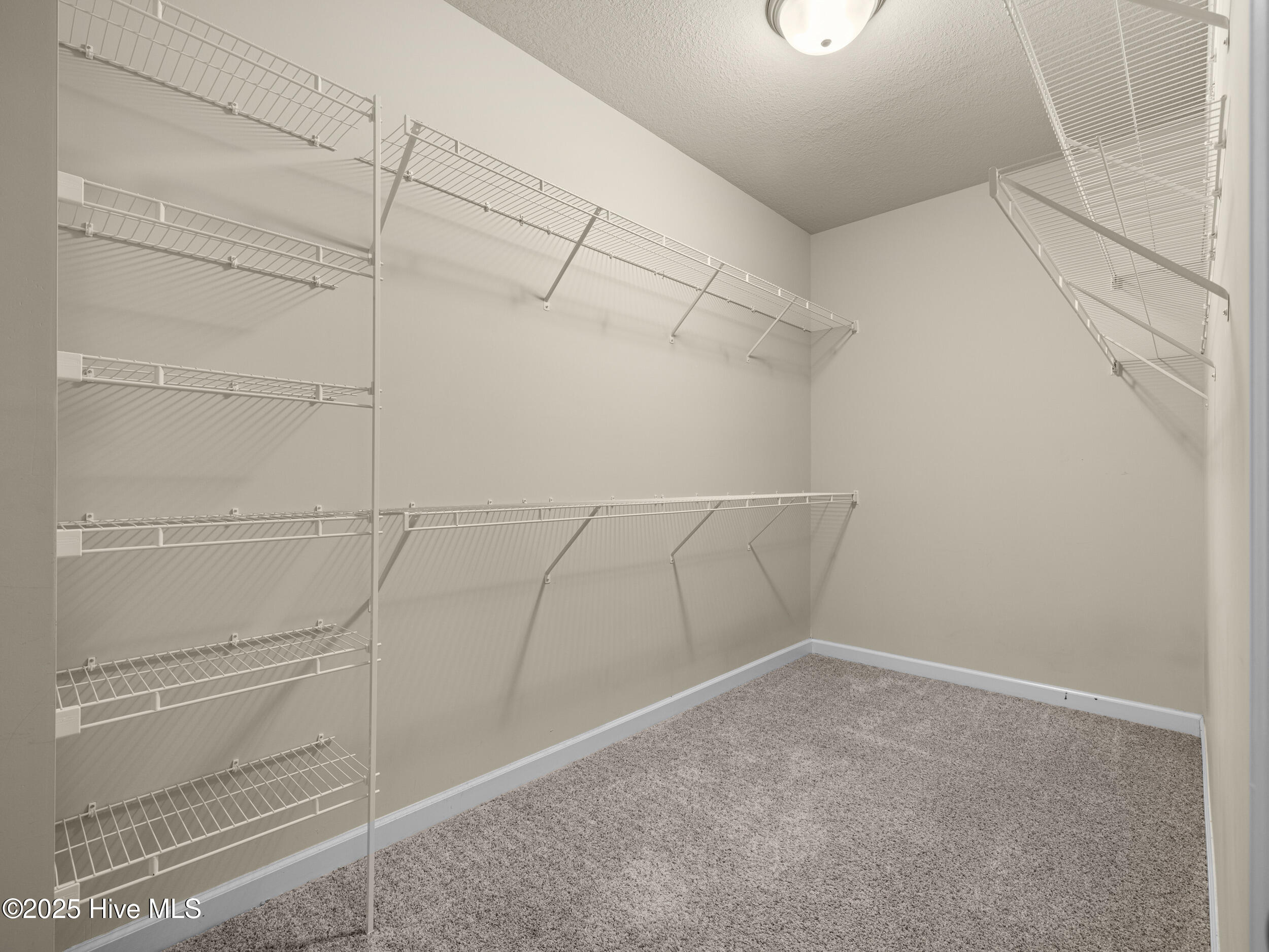 100524411 | Photo 27