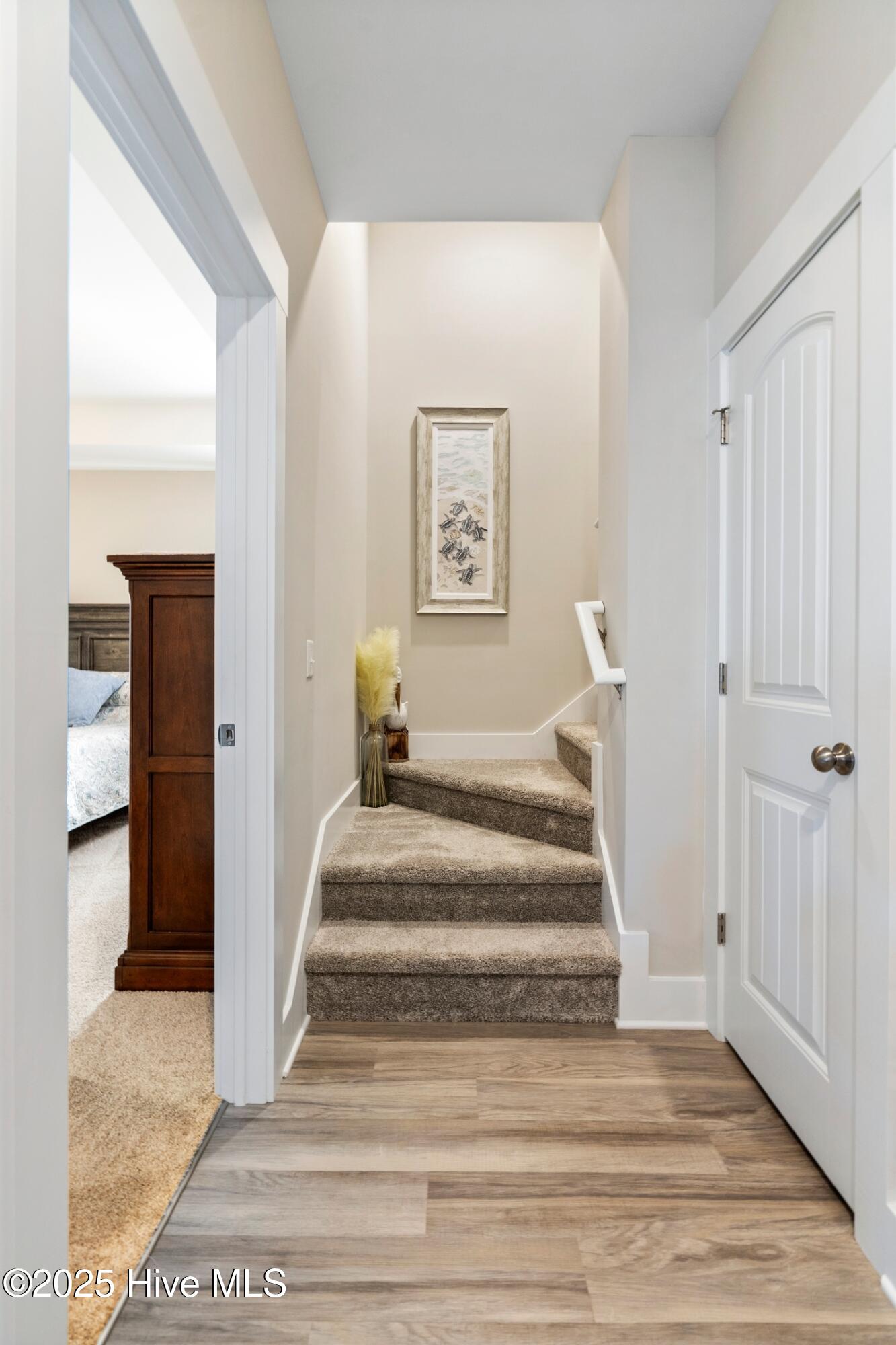 100538815 | Photo 14