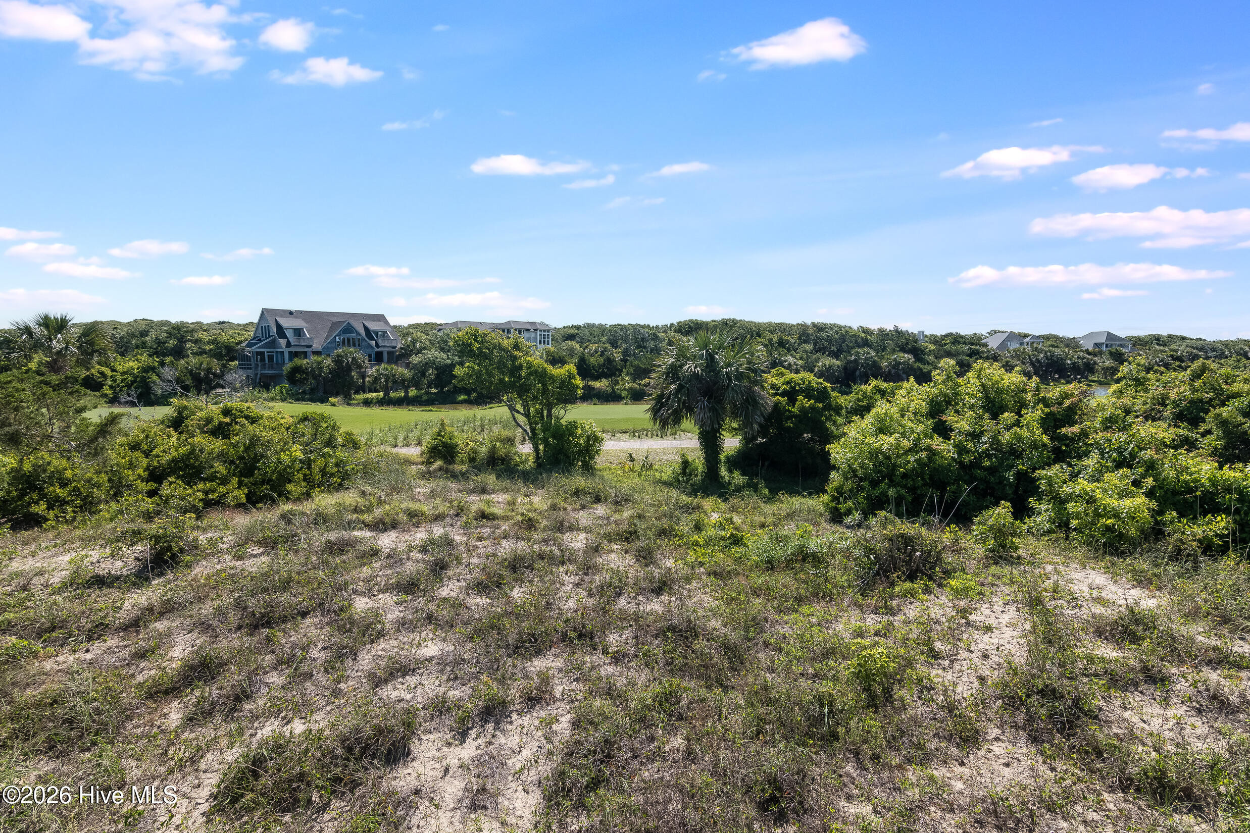 100557535 | Photo 40