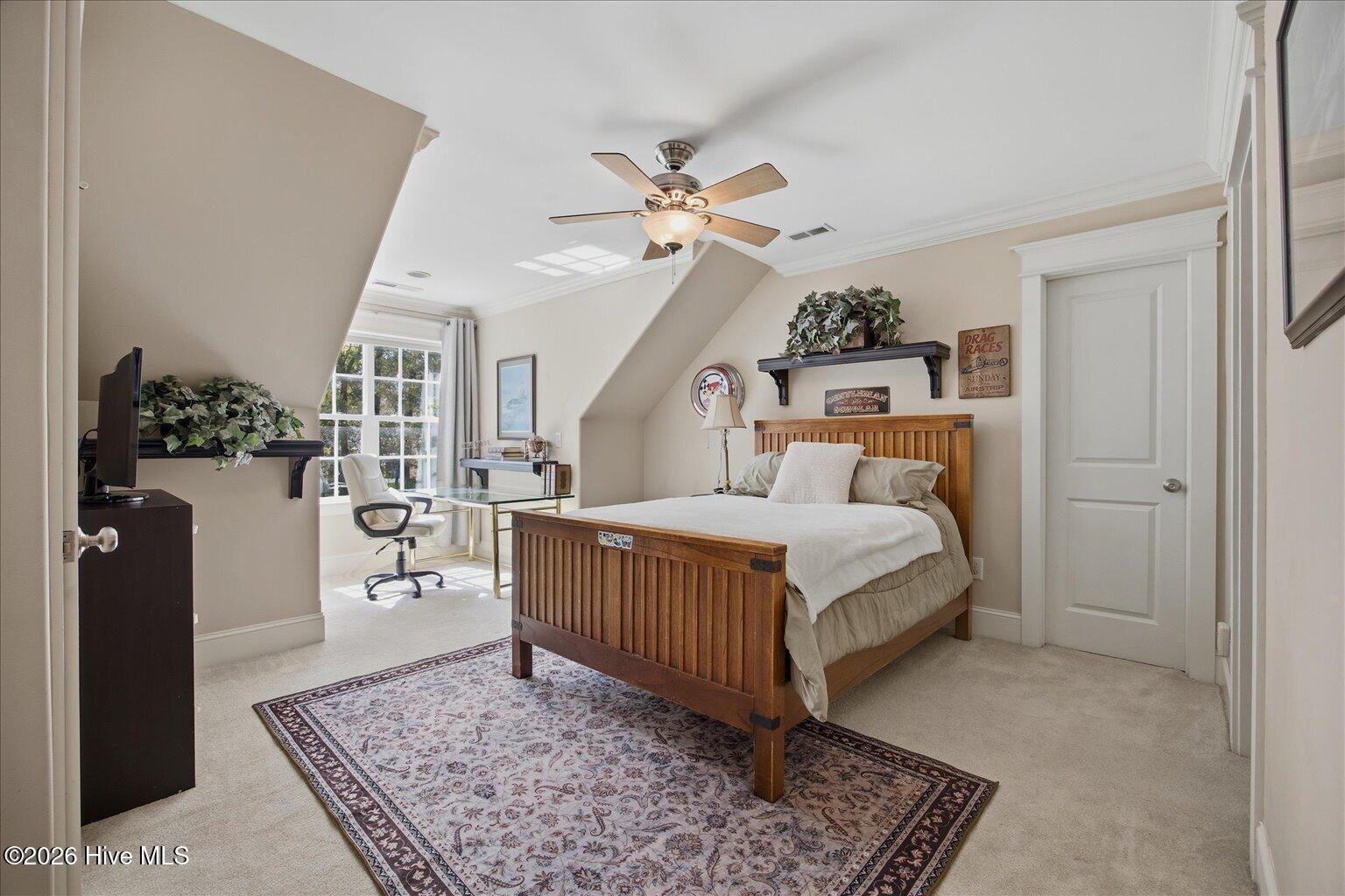 100564317 | Photo 29