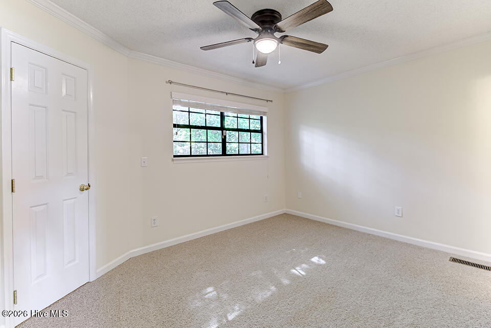 100565987 | Photo 27