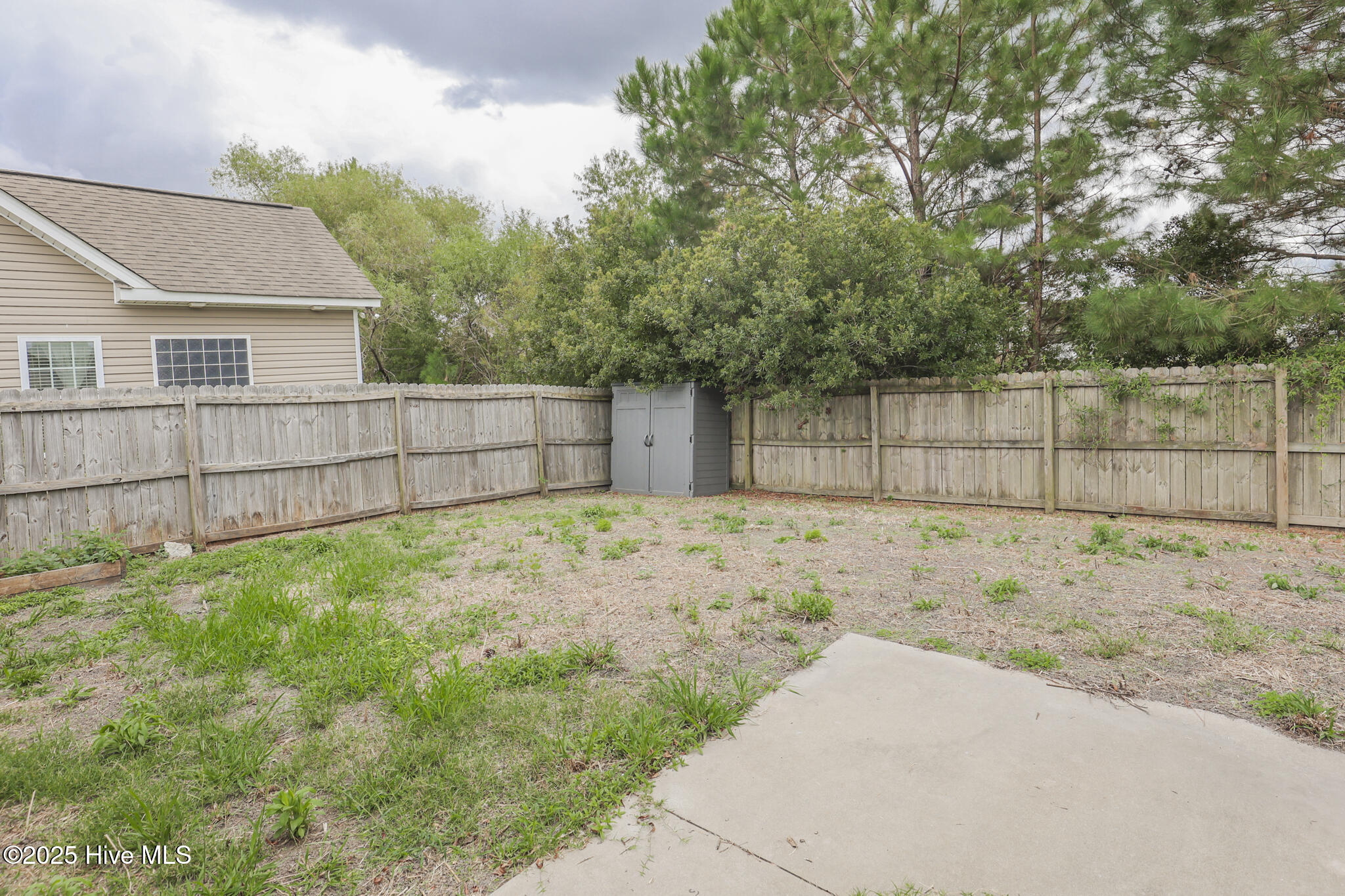 100536070 | Photo 41