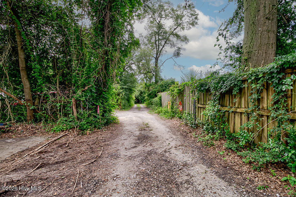 100558773 | Photo 13