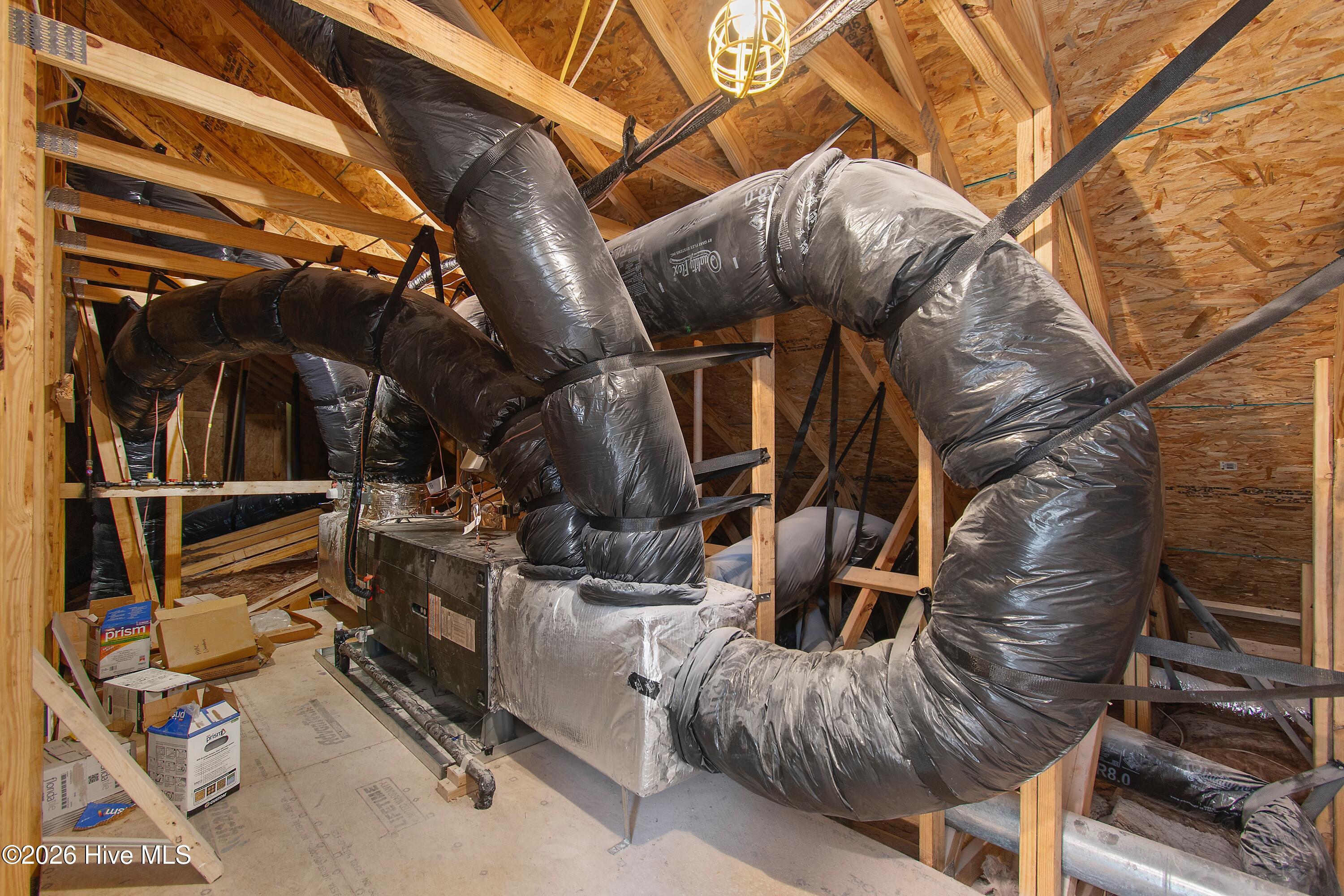 100533287 | Photo 31