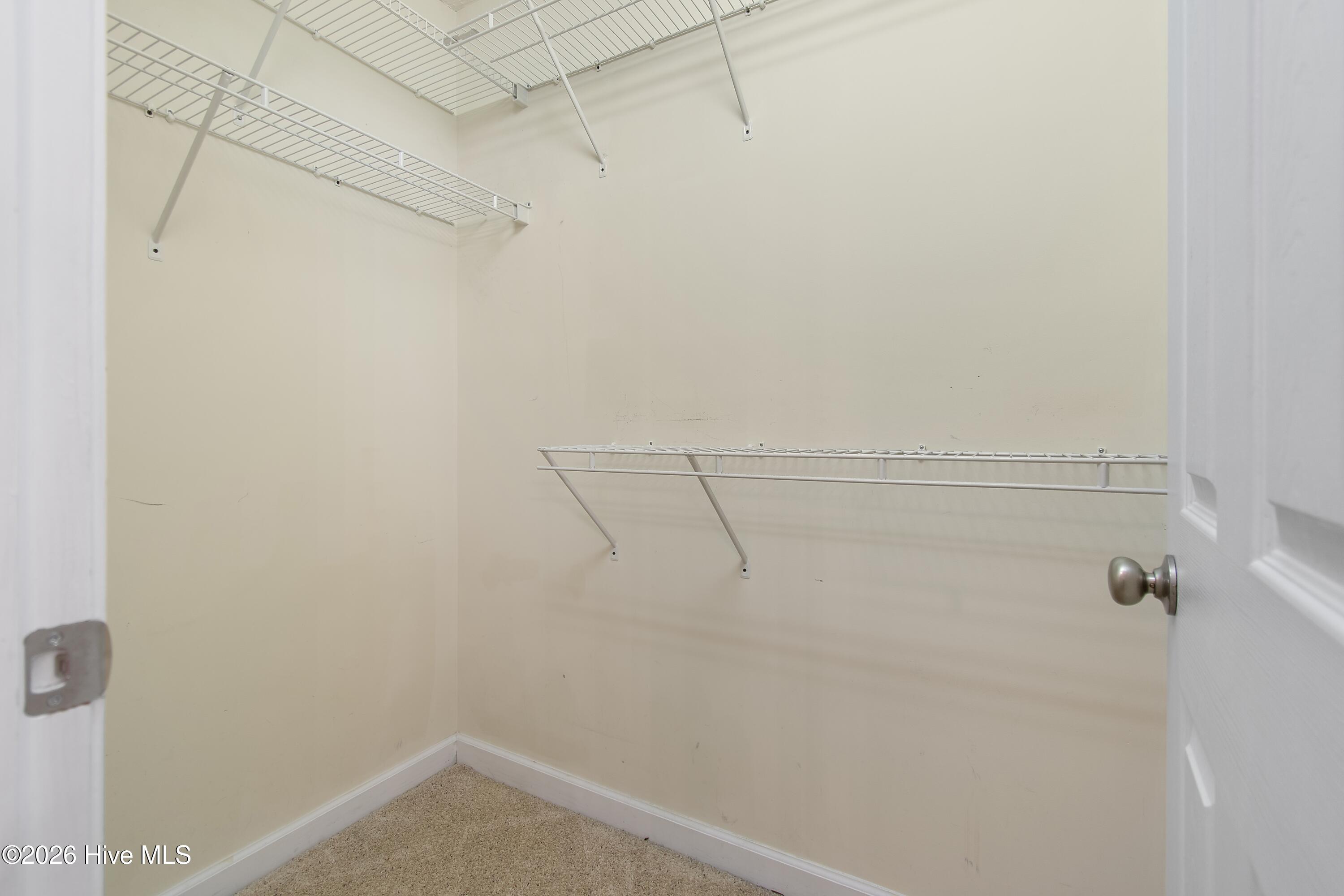 100570075 | Photo 23