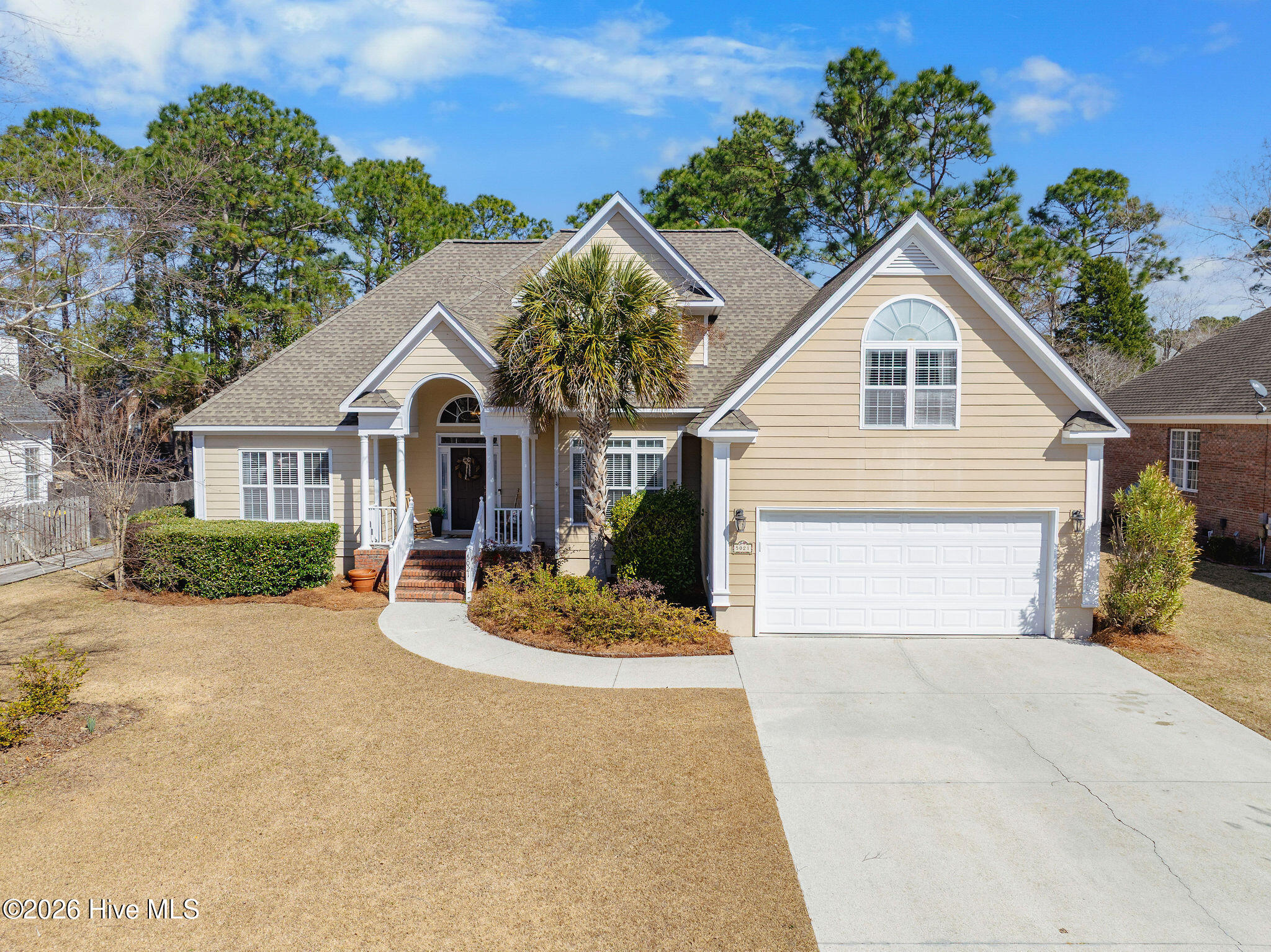 100556784 | Photo 59