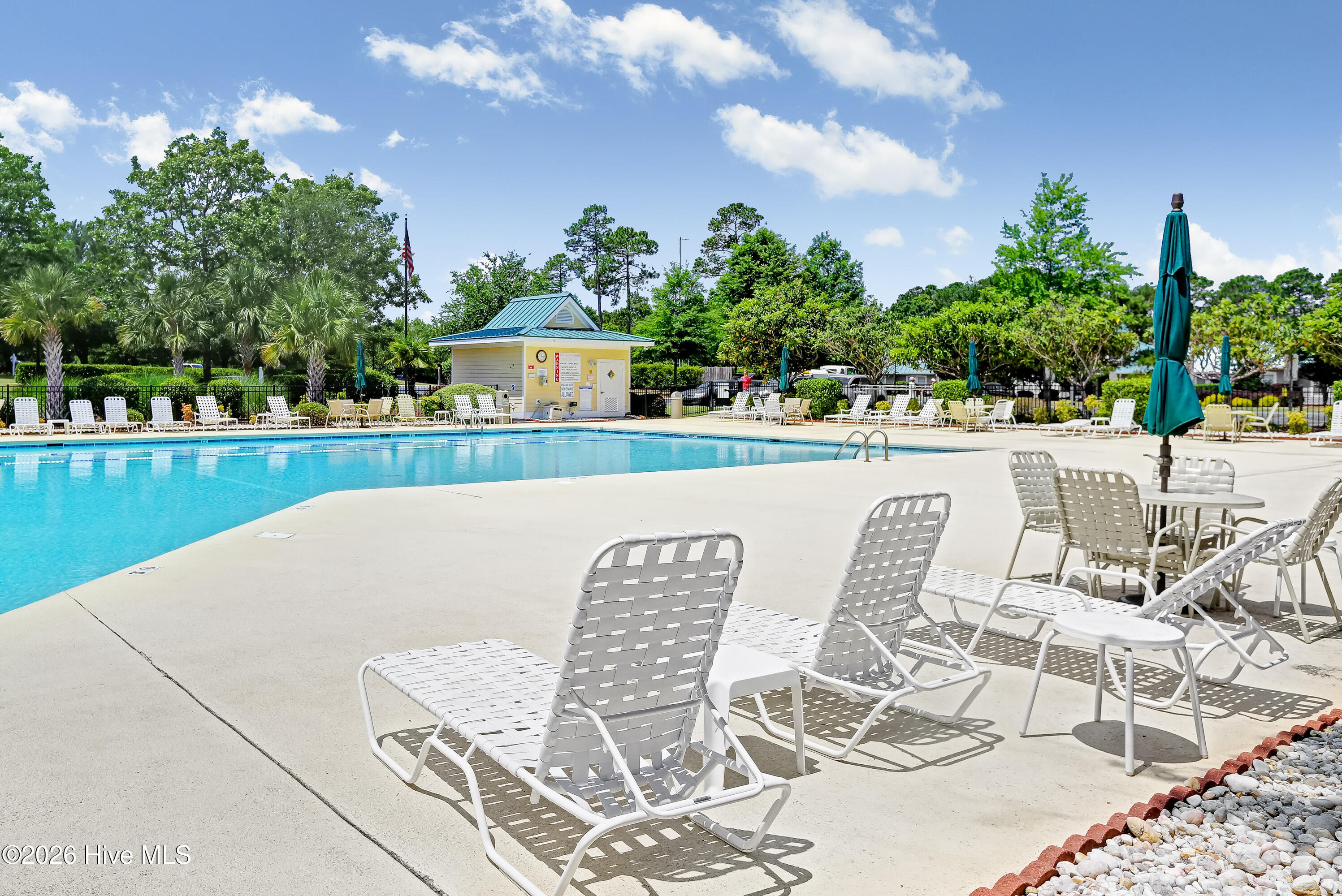 100566975 | Photo 38