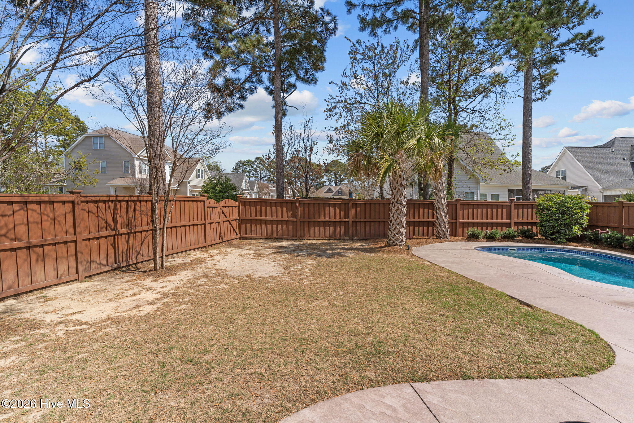 100564202 | Photo 41