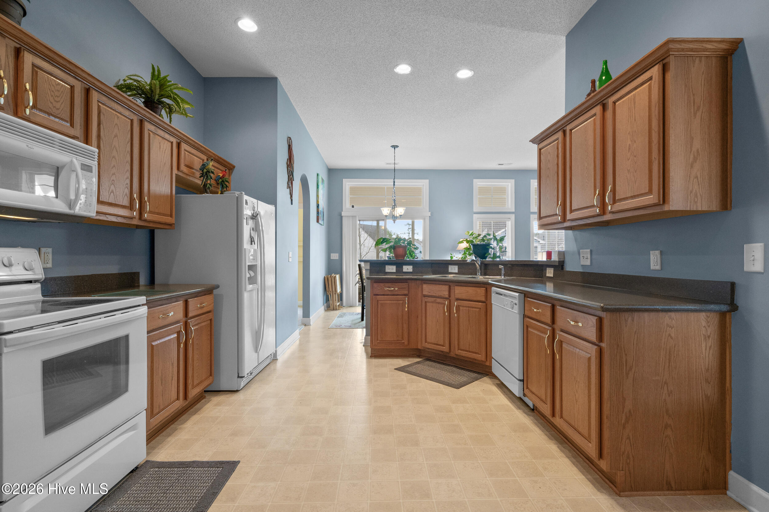 100558962 | Photo 13