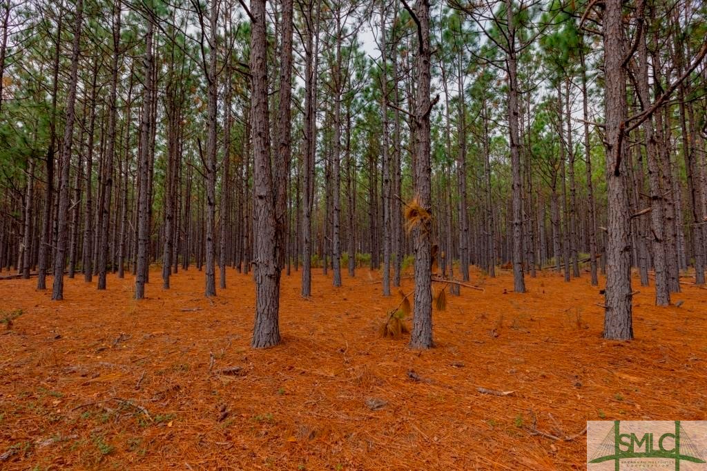 Undisclosed Address, Sylvania, GA, 30467