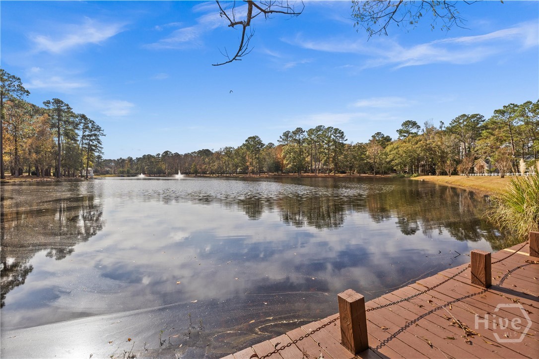 129 Palmetto Drive, Rincon, GA 31326 Listing Photo  57