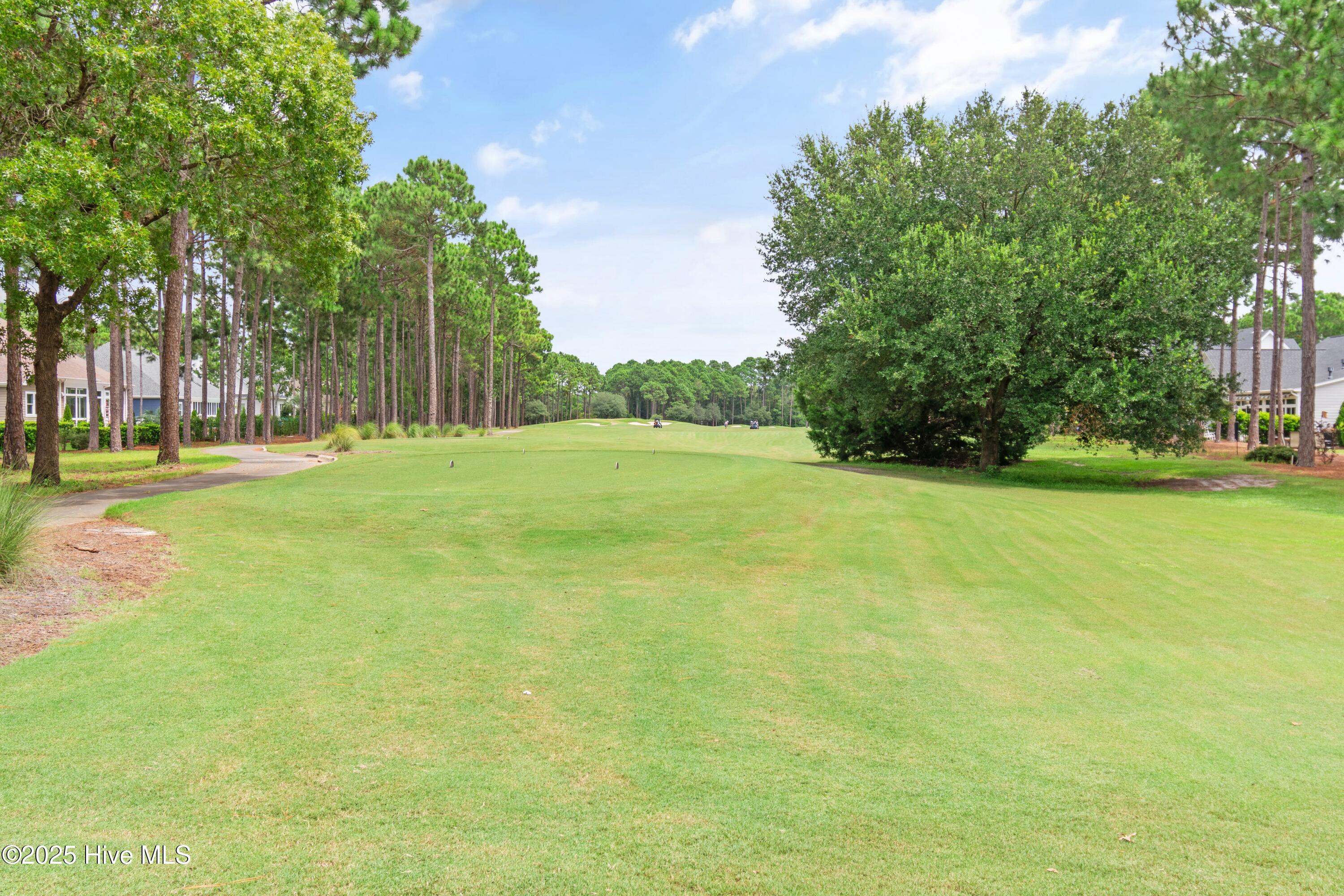 100526720 | Photo 45