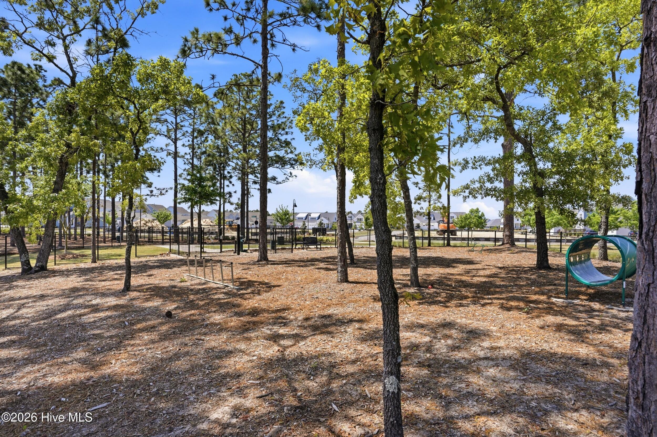 100569050 | Photo 72