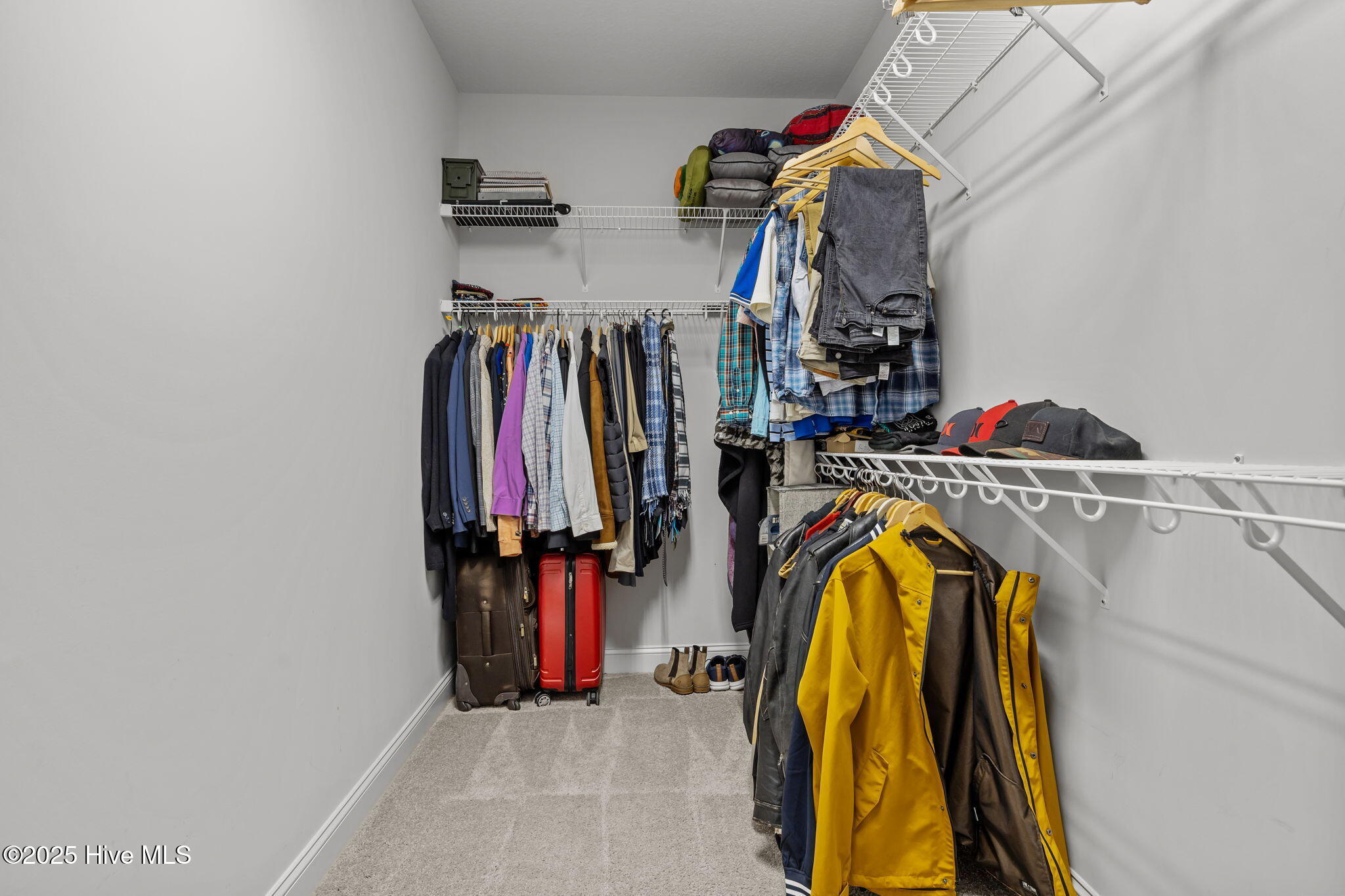 100539854 | Photo 18