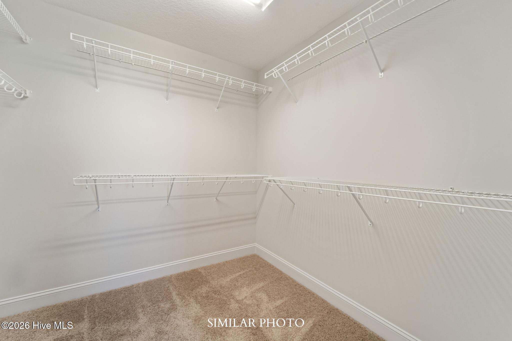 100561558 | Photo 24