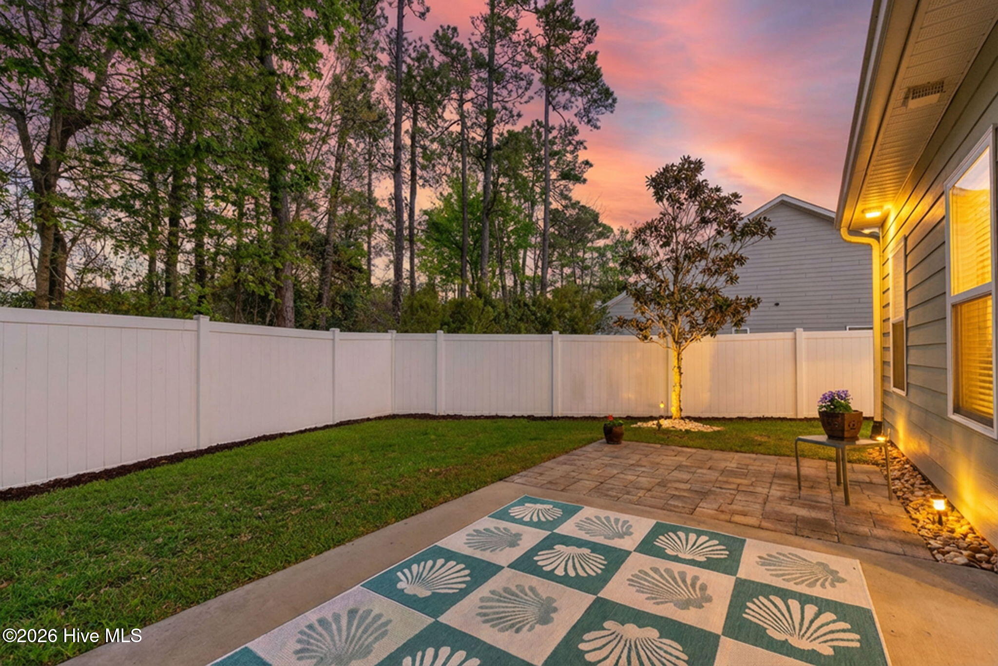 100564797 | Photo 19