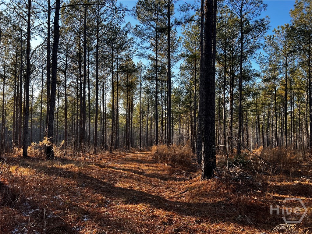 2285 Cherokee Road, Comer, GA, 30629