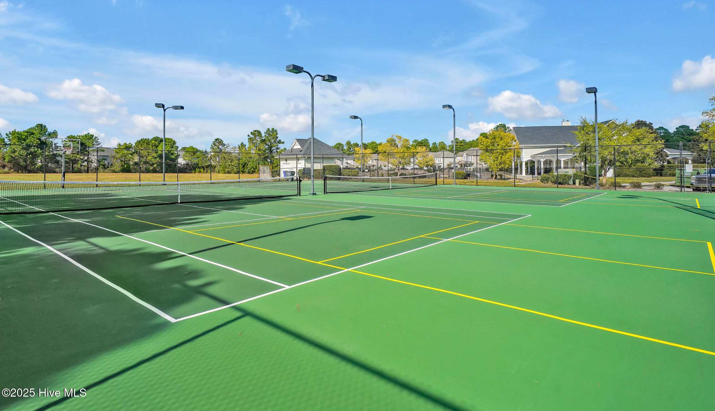 100547163 | Photo 36