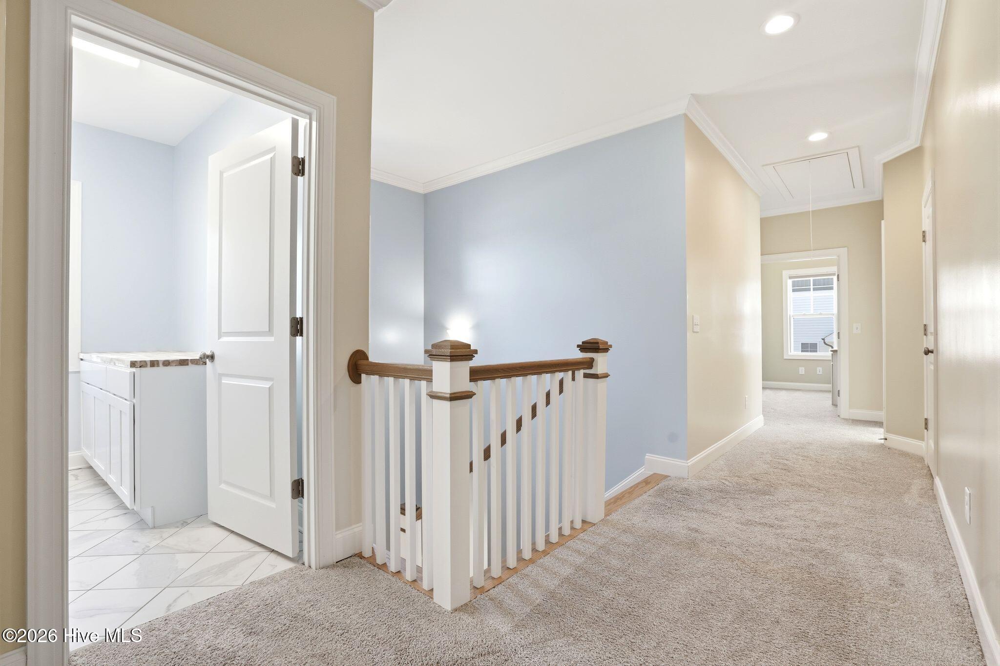 100562109 | Photo 40