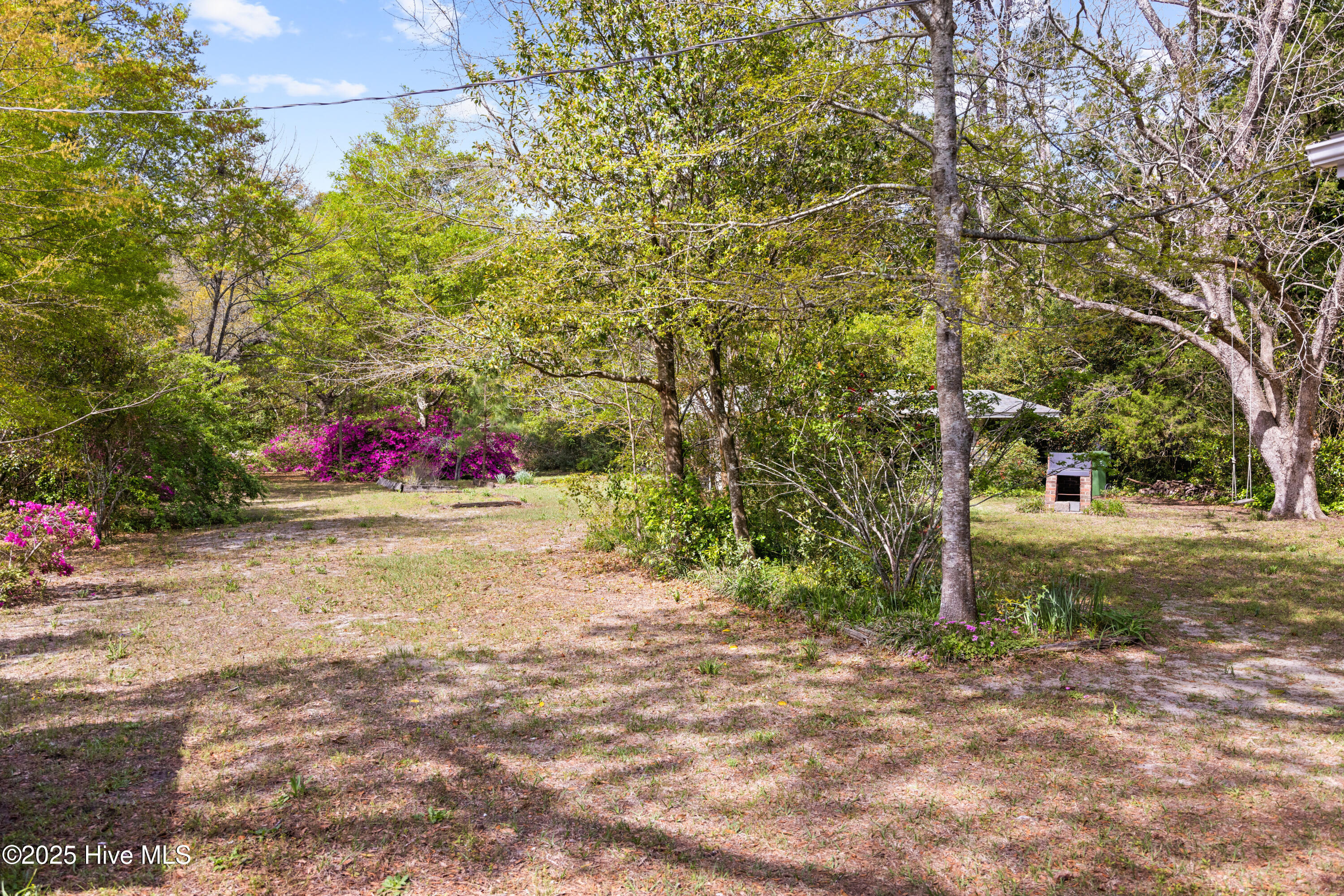 100548409 | Photo 47