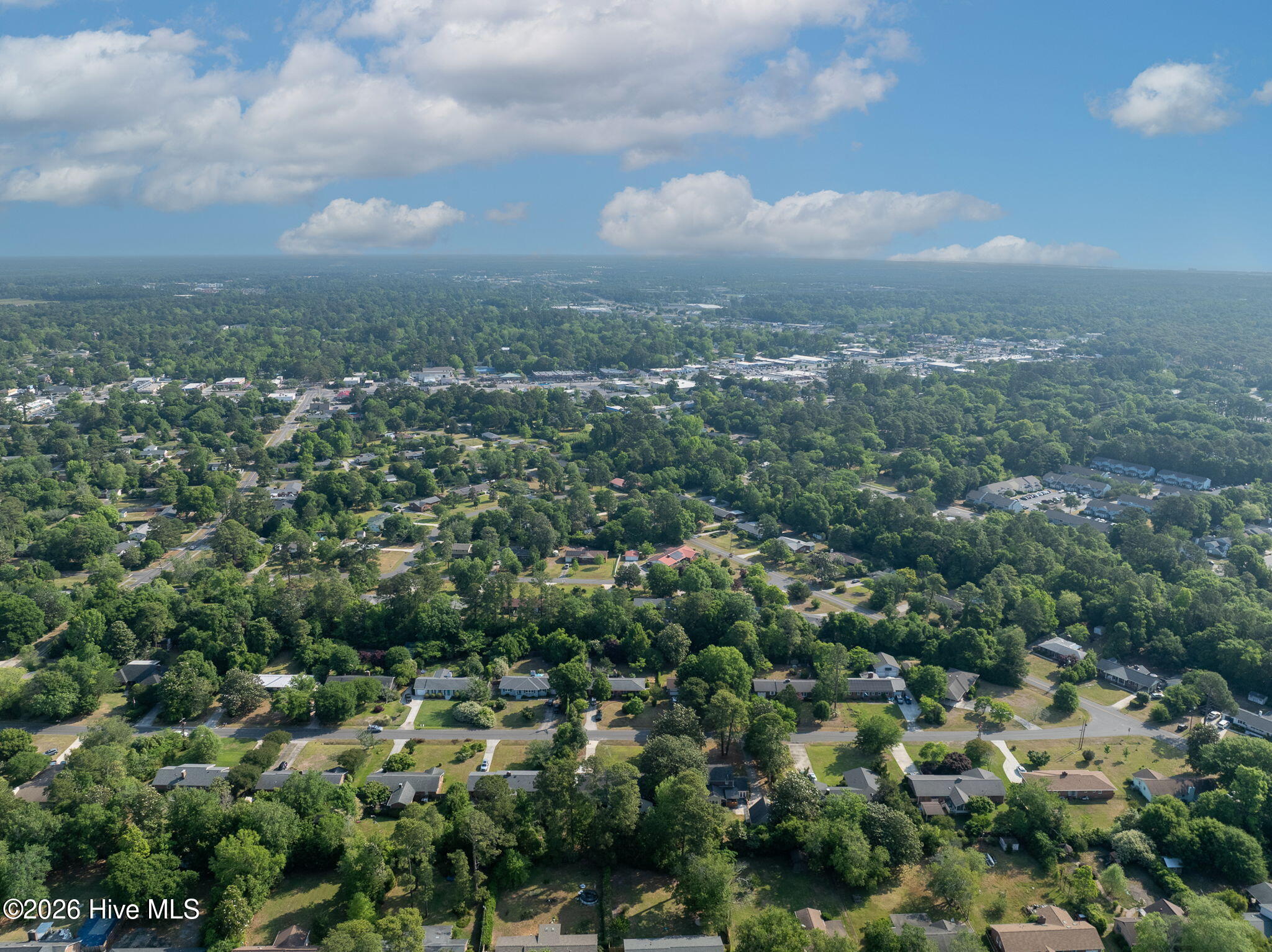 100569769 | Photo 77