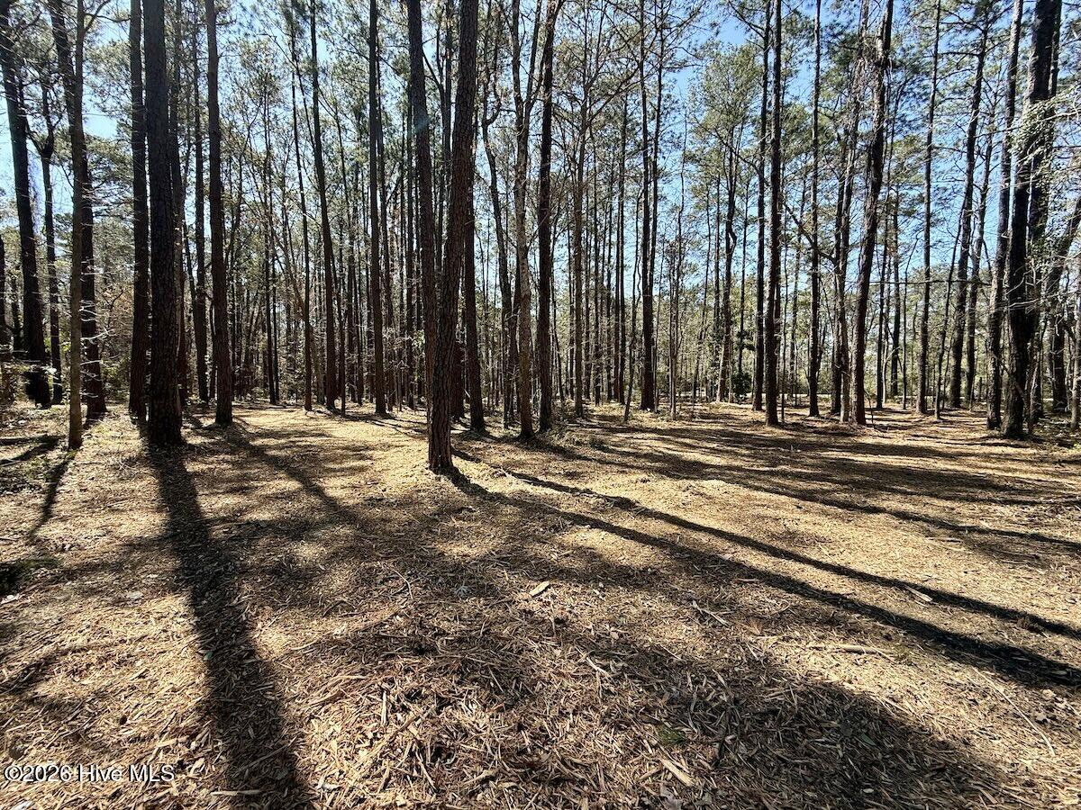 0 Lot 1 Creek Place Road,Arapahoe