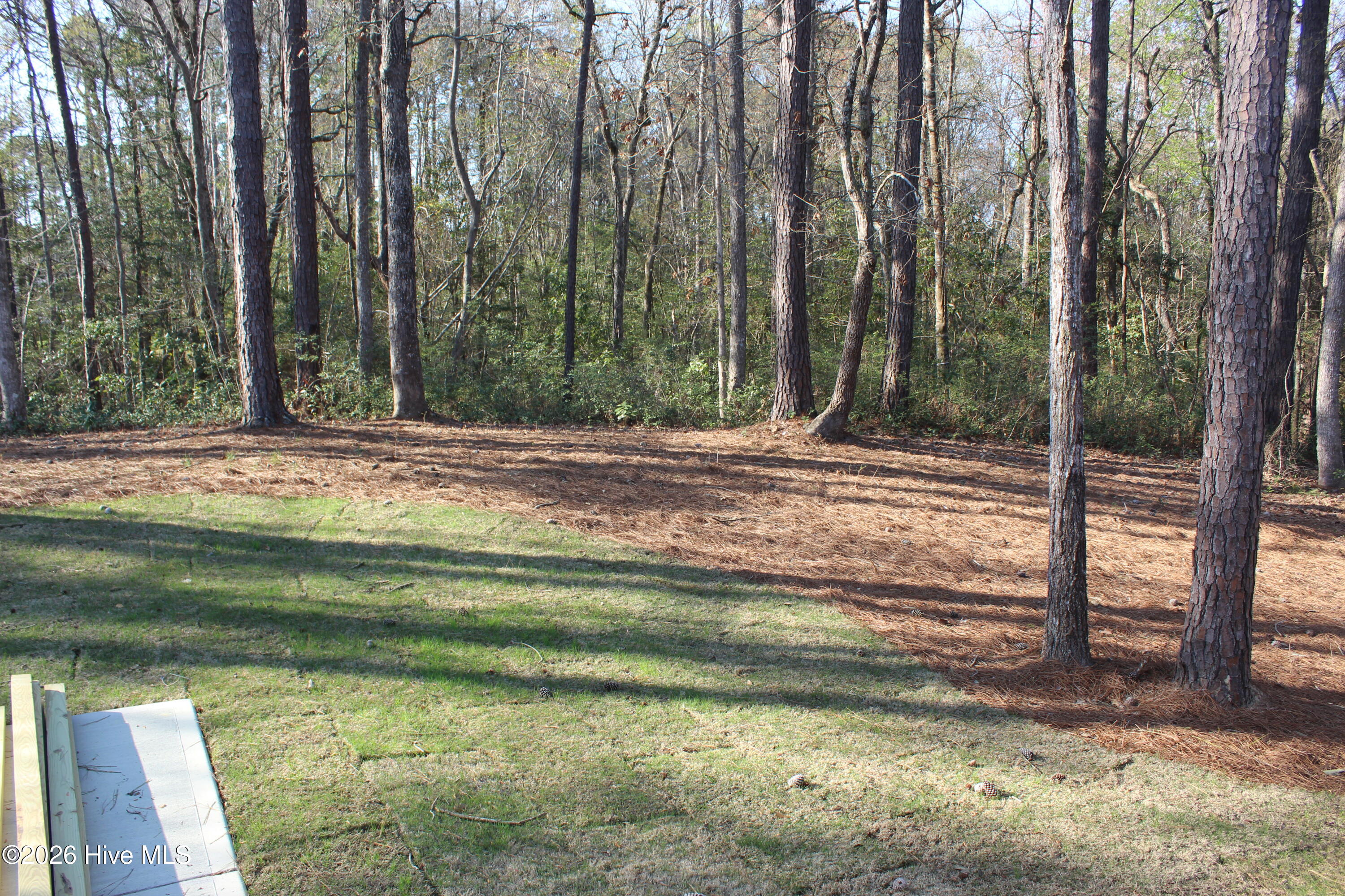 100536128 | Photo 22