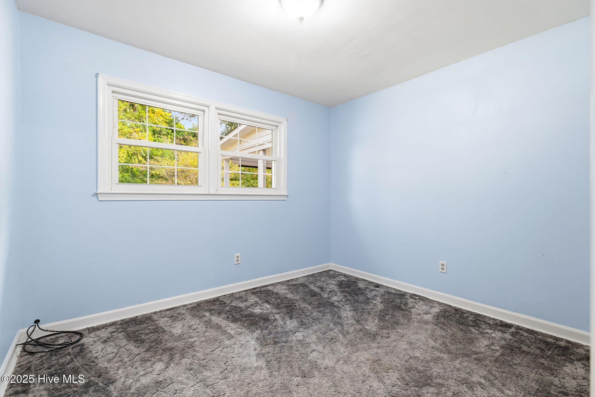 100539016 | Photo 35