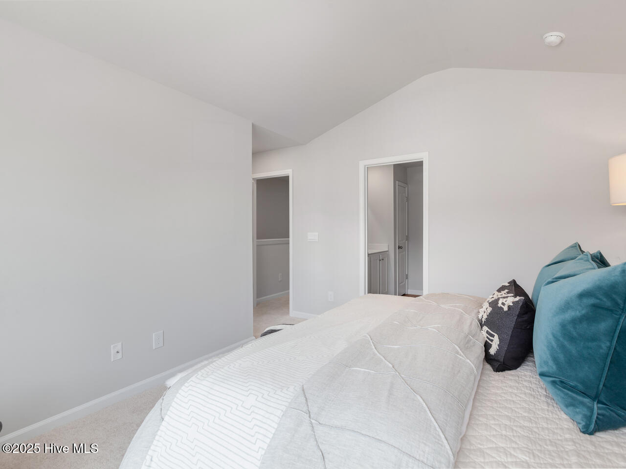 100517951 | Photo 21