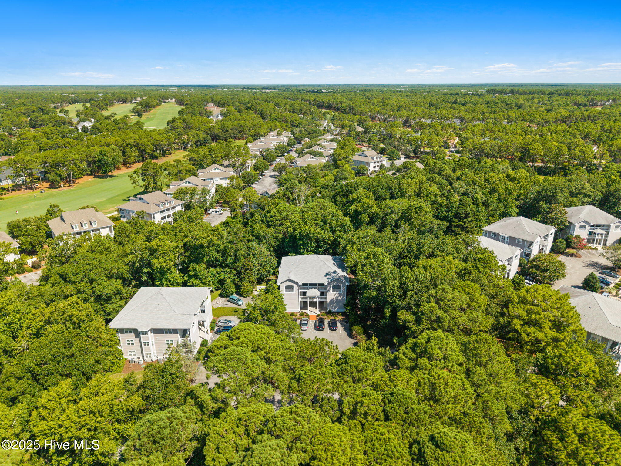 100520158 | Photo 89