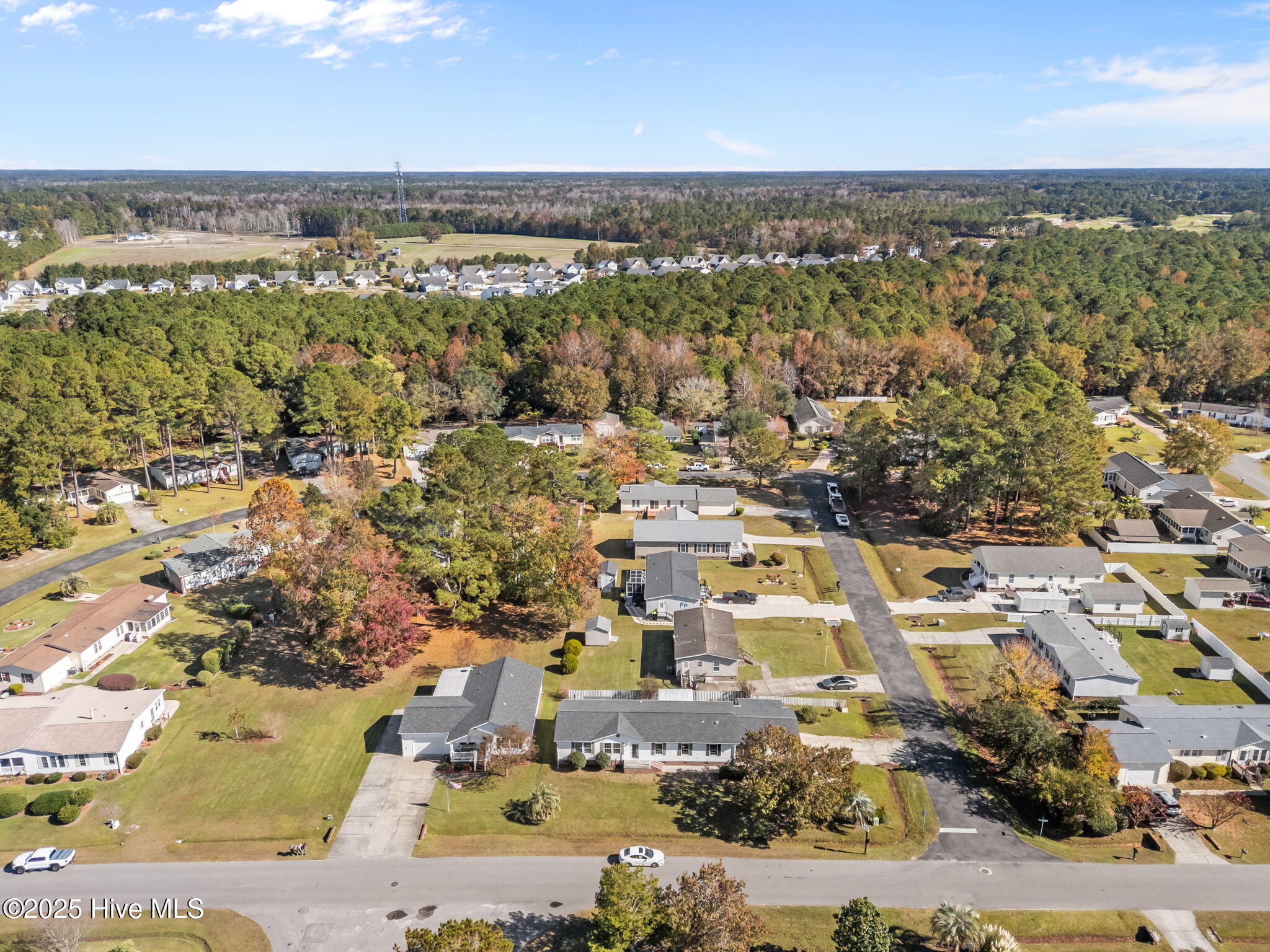 100535102 | Photo 50