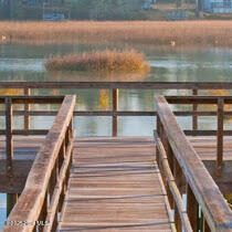 100524017 | Photo 30