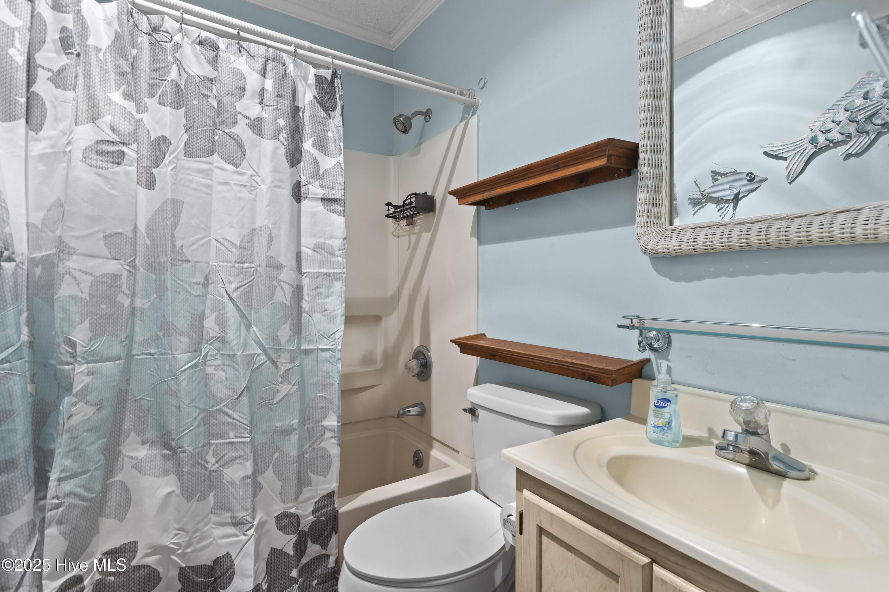 100539529 | Photo 15