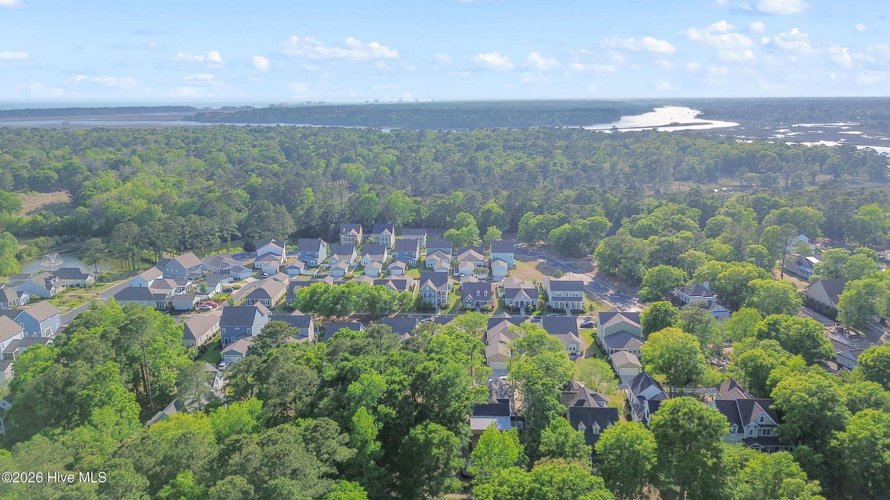 100558704 | Photo 10