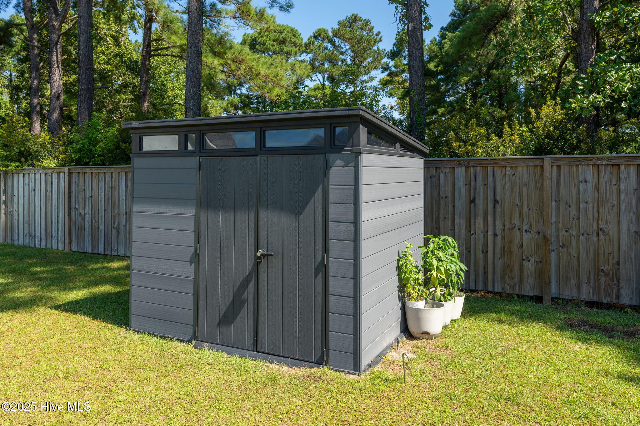 100527863 | Photo 51