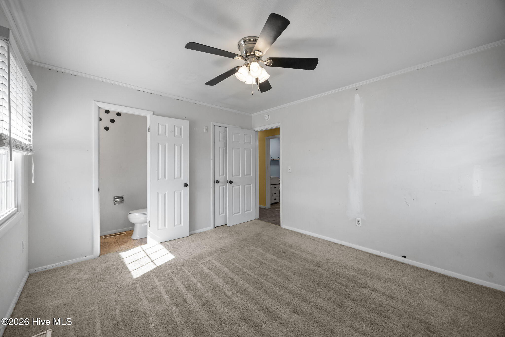 100554228 | Photo 14